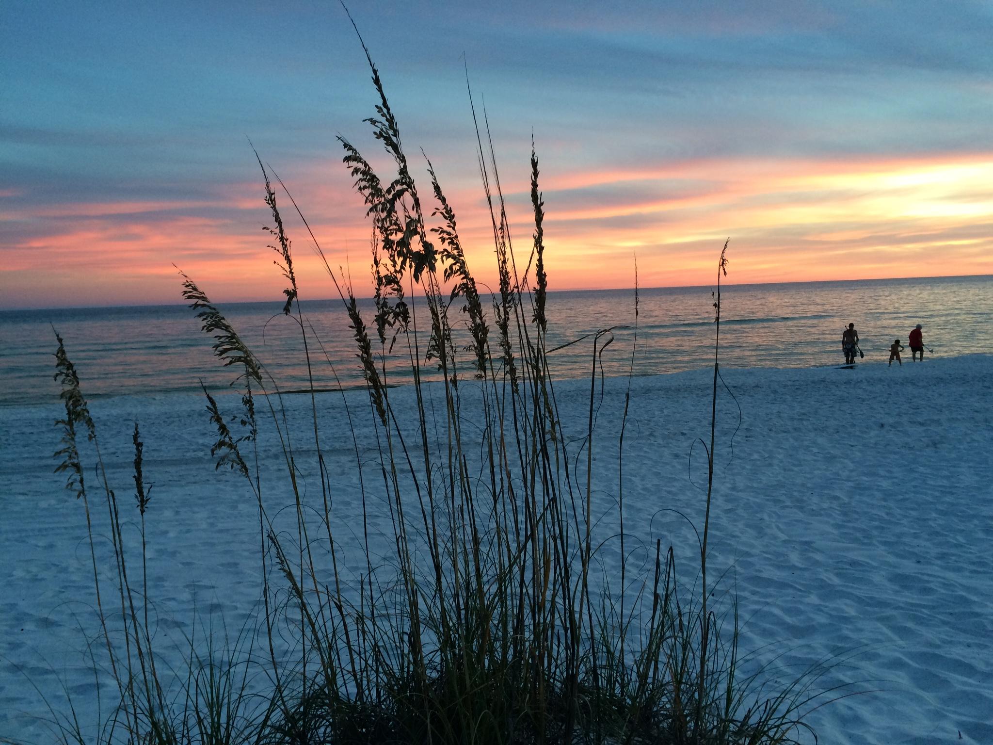 Sun Gulf - Residential