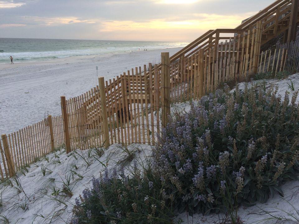 Sun Gulf - Residential