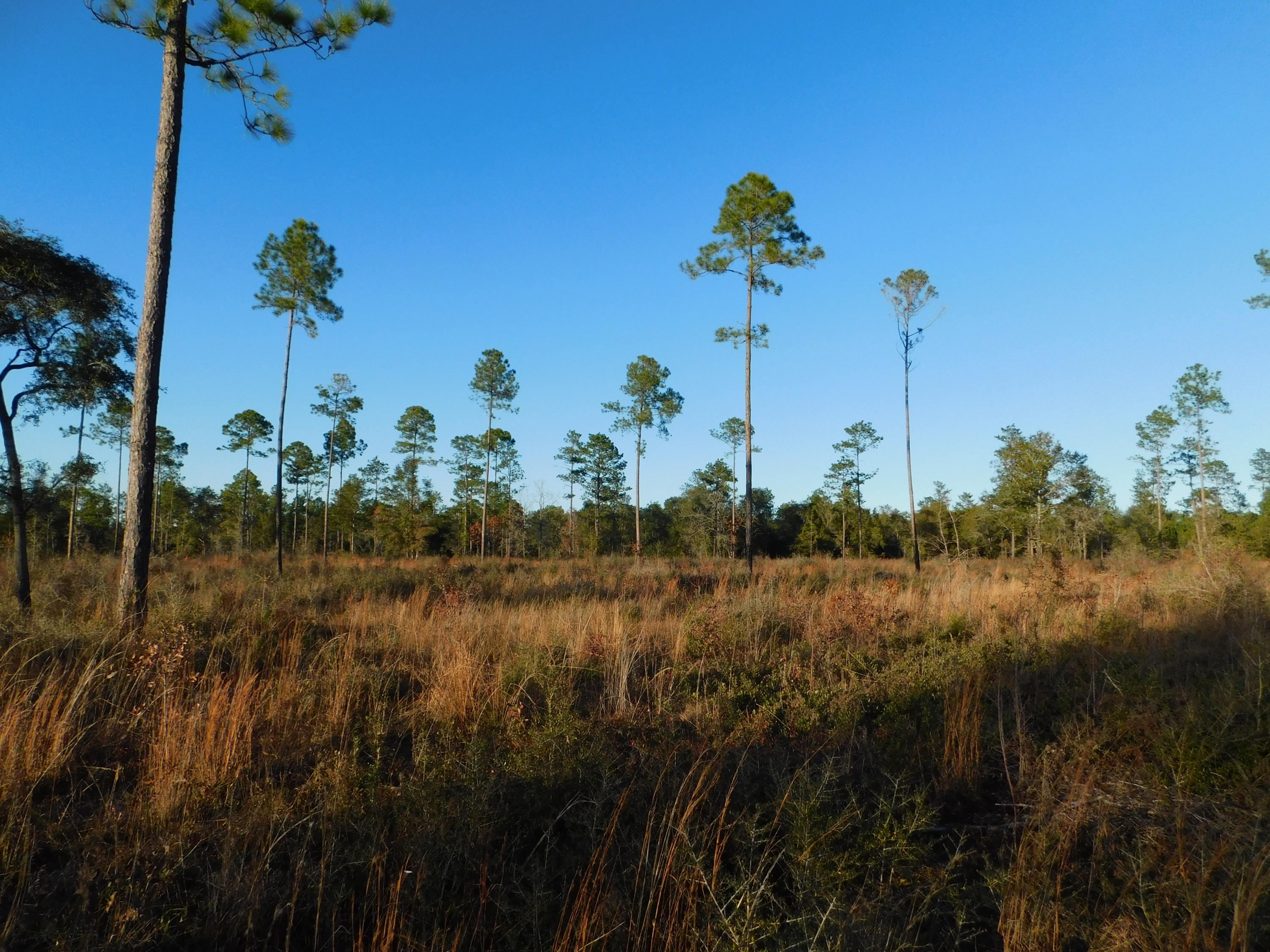 METES & BOUNDS - Farm