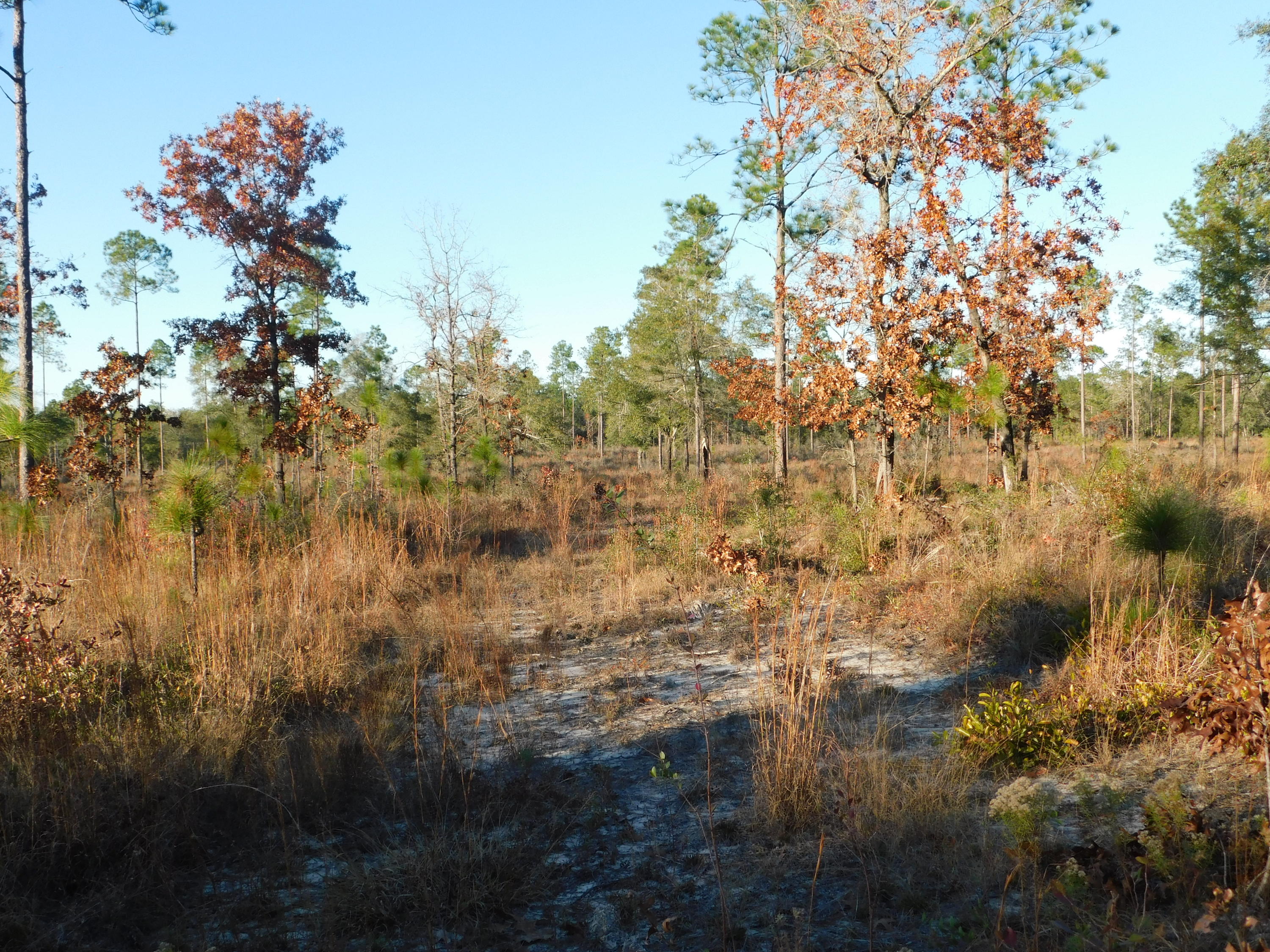 METES & BOUNDS - Farm