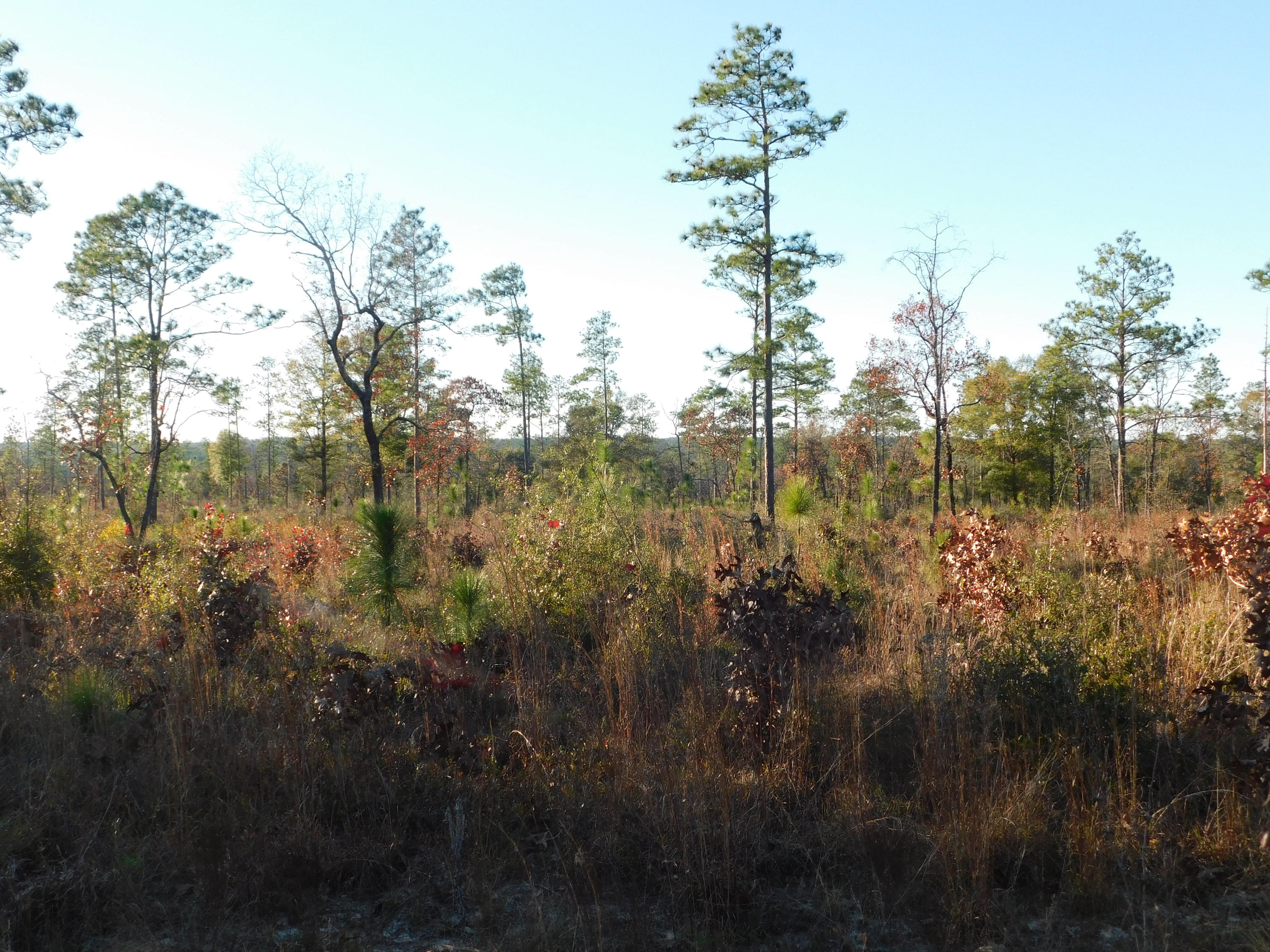 METES & BOUNDS - Farm