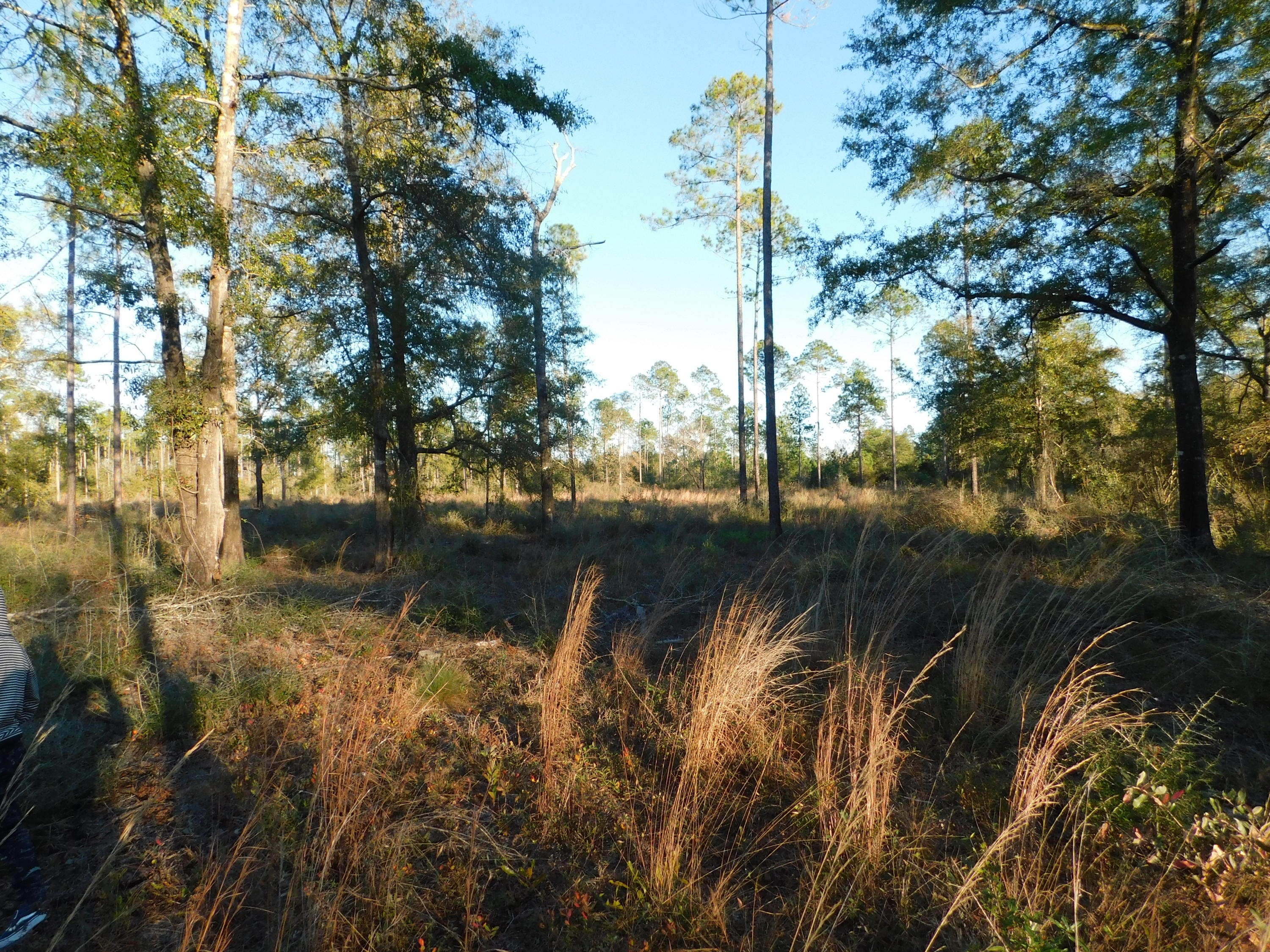 METES & BOUNDS - Farm