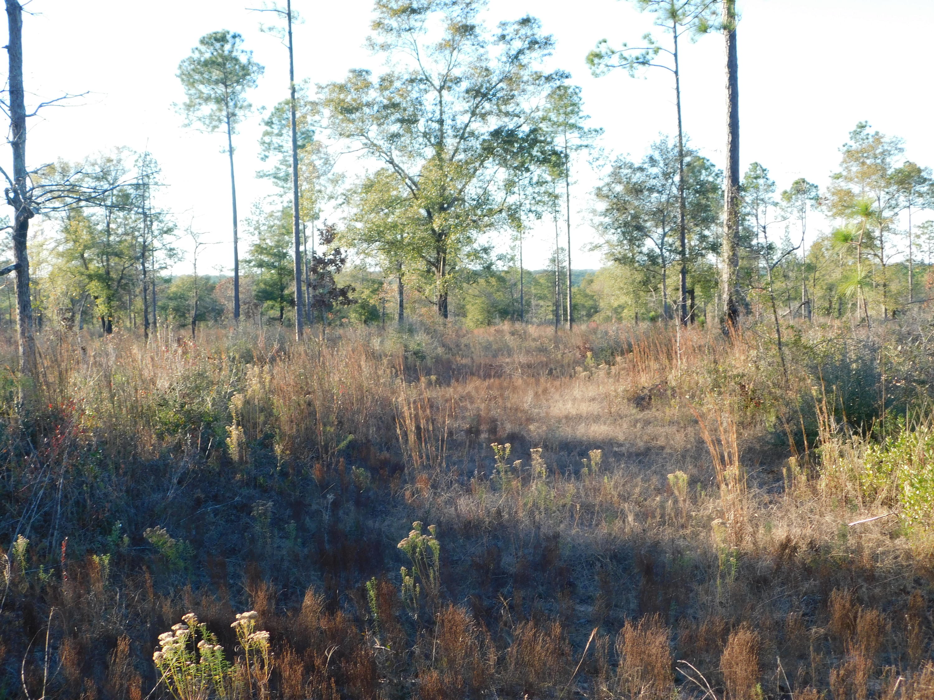 METES & BOUNDS - Farm