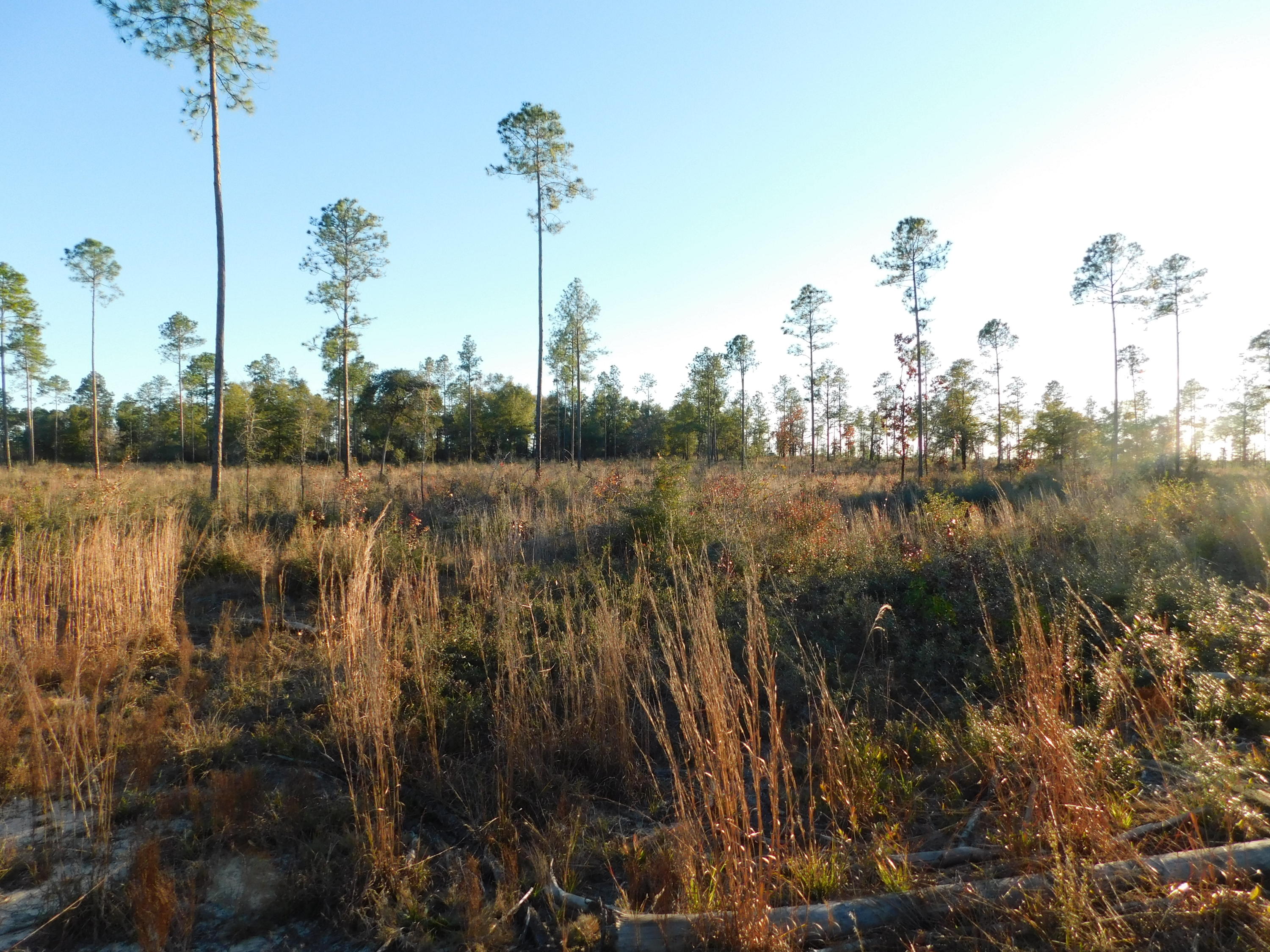 METES & BOUNDS - Farm