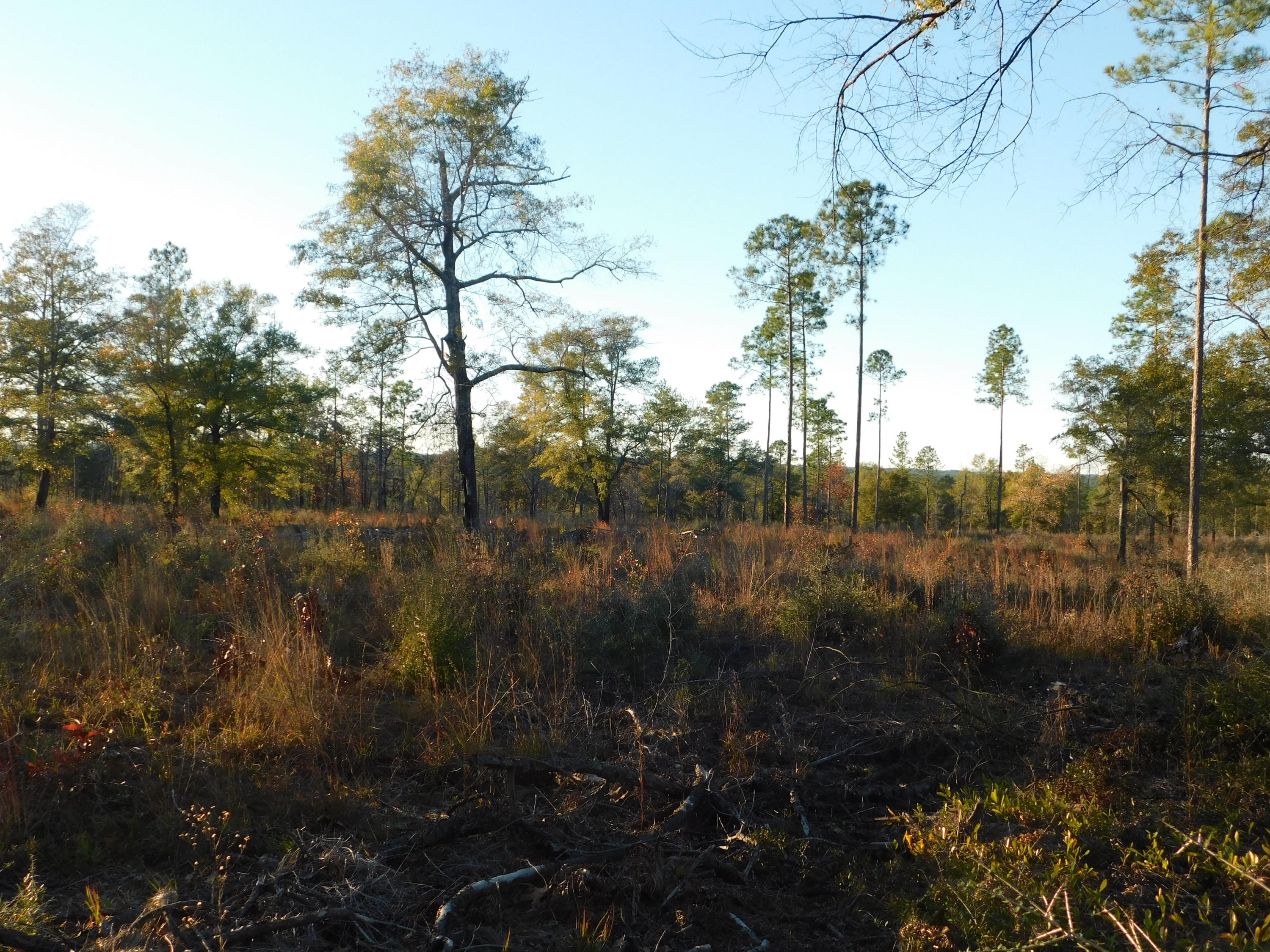 METES & BOUNDS - Farm