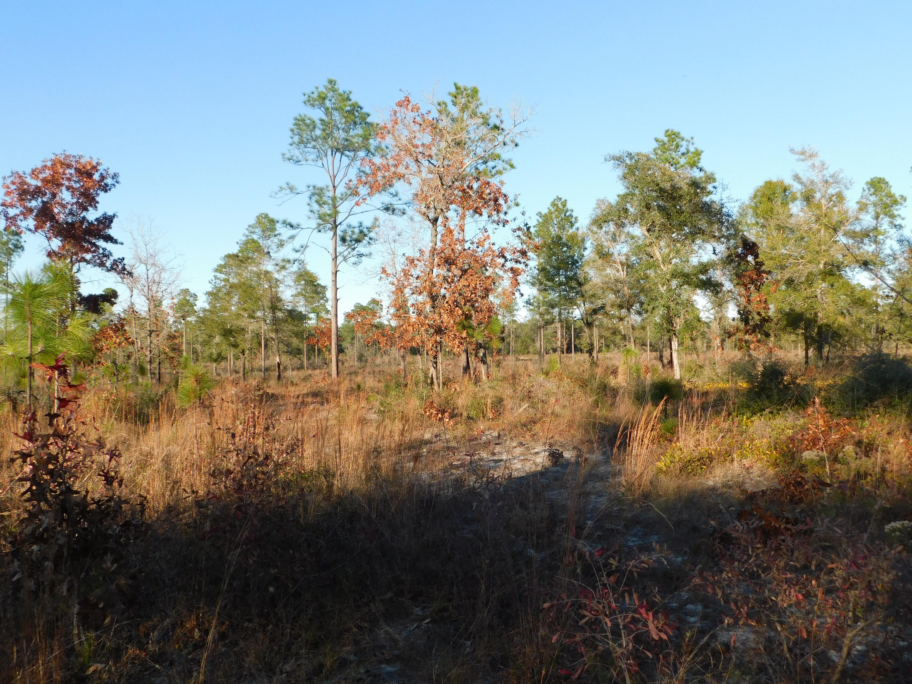 METES & BOUNDS - Farm