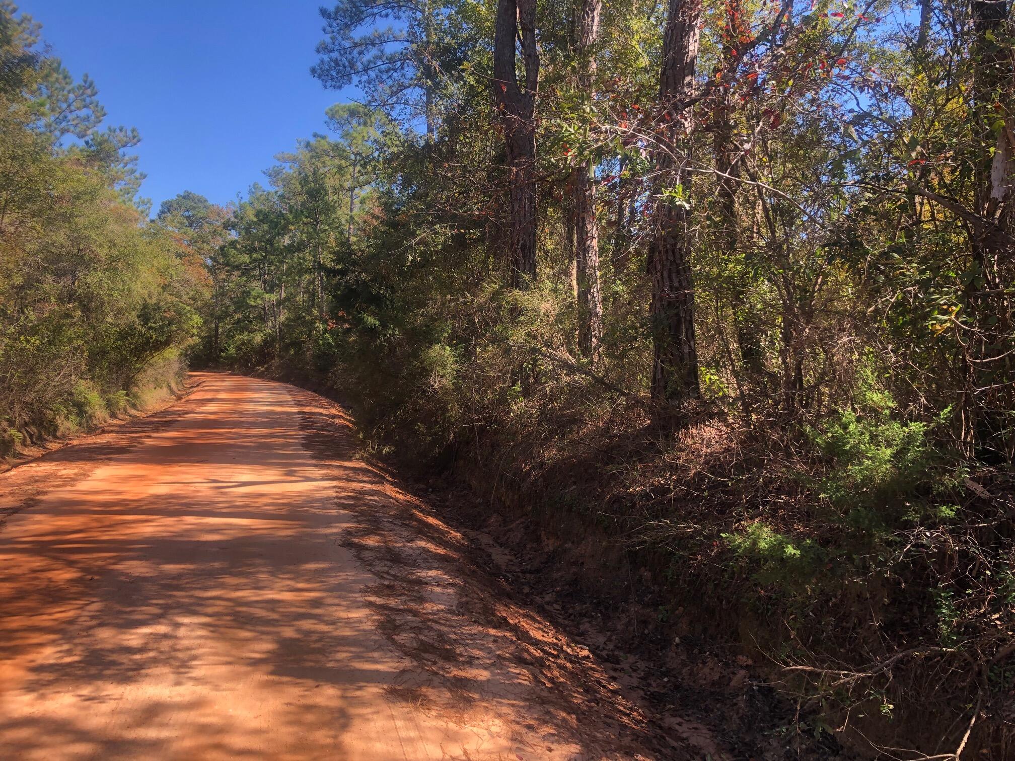 Enjoy country living on 5 acres of land in Washington County and bask in the peace and privacy. This lot is located on a peaceful street and offers plenty of space to build your dream home with an outdoor oasis! The Choctaw River is just at the end of this road and is a great spot to make lasting memories. Jenkins Landing features a boat ramp and a pavilion area with picnic tables, perfect for hosting family and friends by the river! Check out this beautiful lot today!