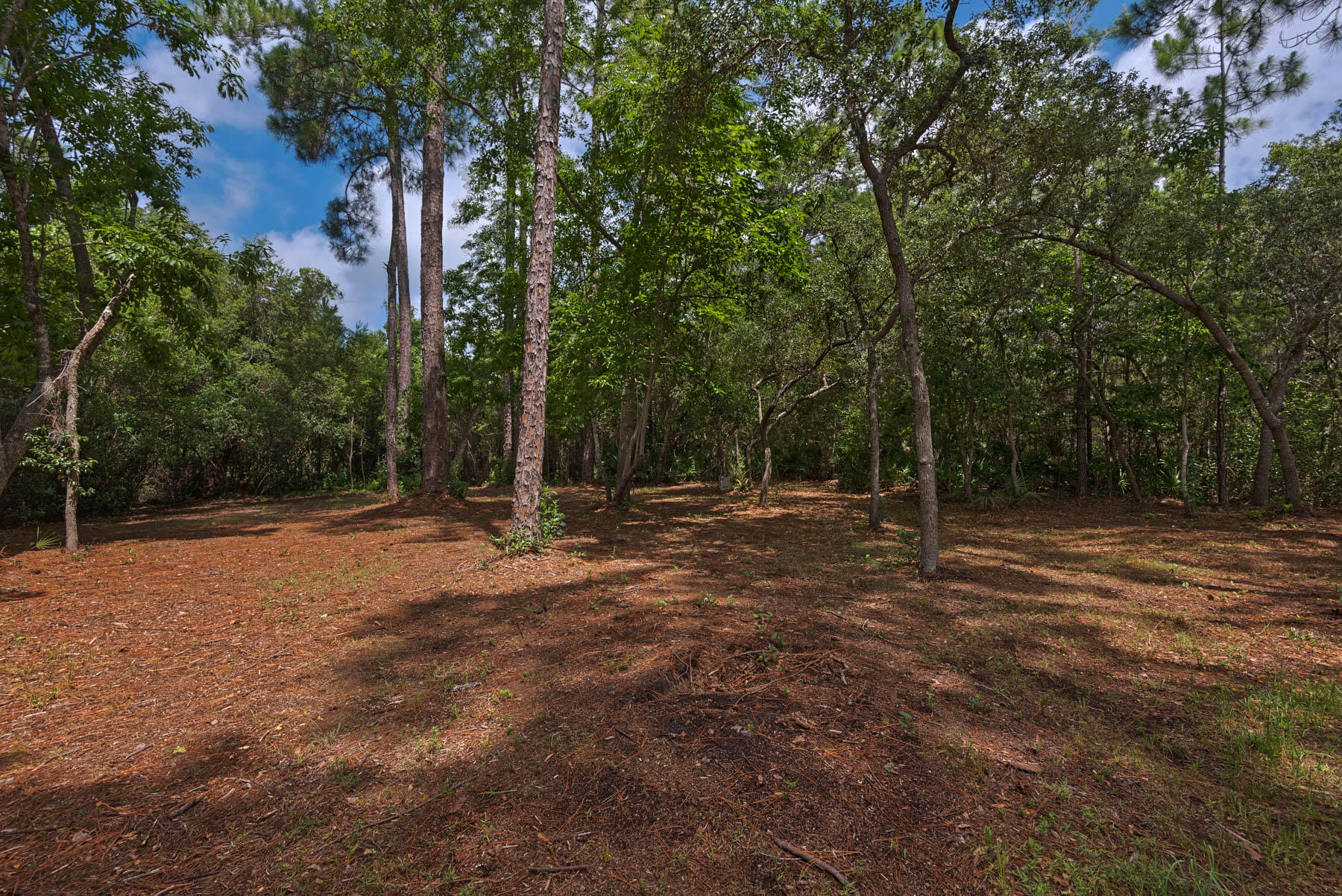 BAY PINE SHORES - Residential