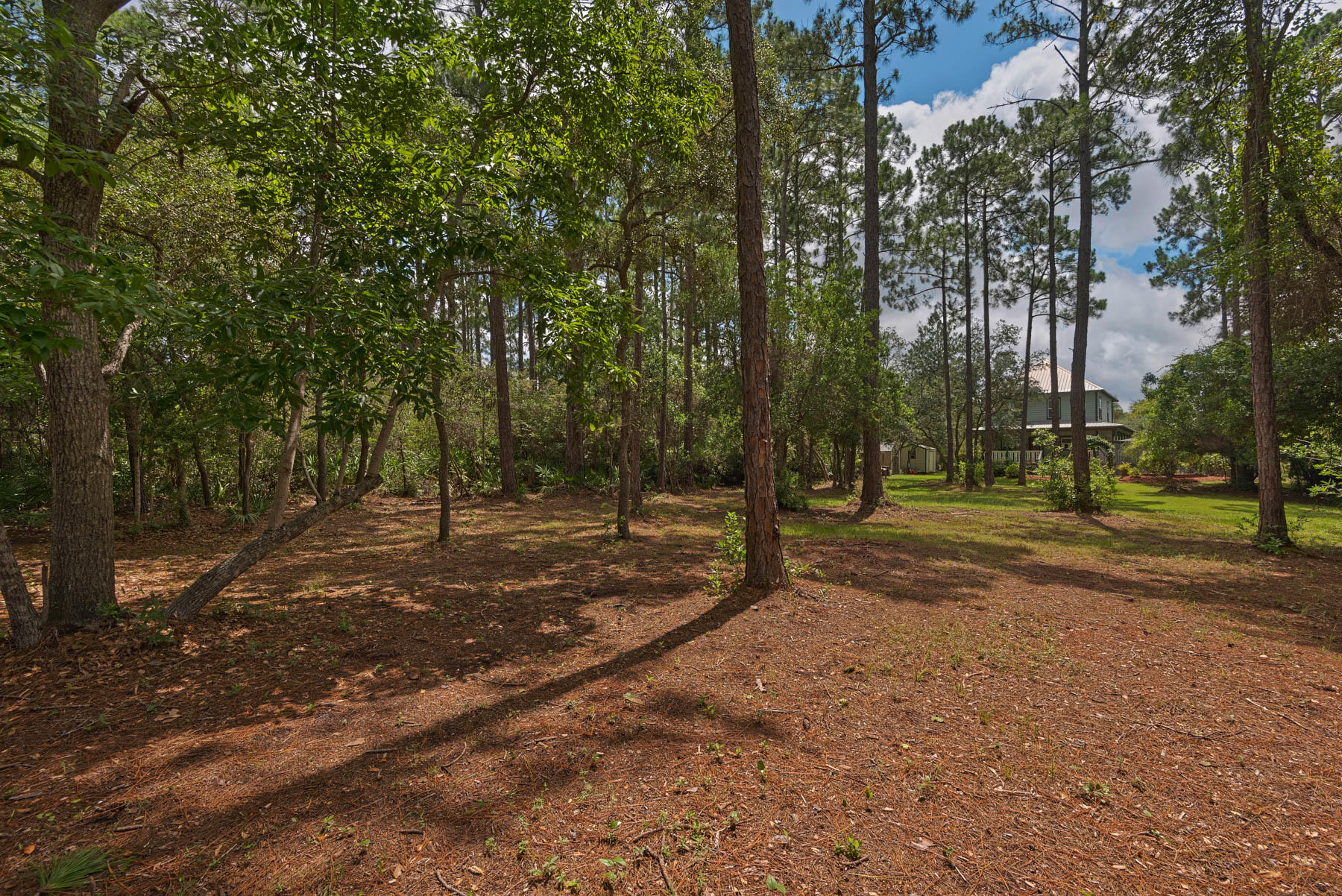 BAY PINE SHORES - Residential