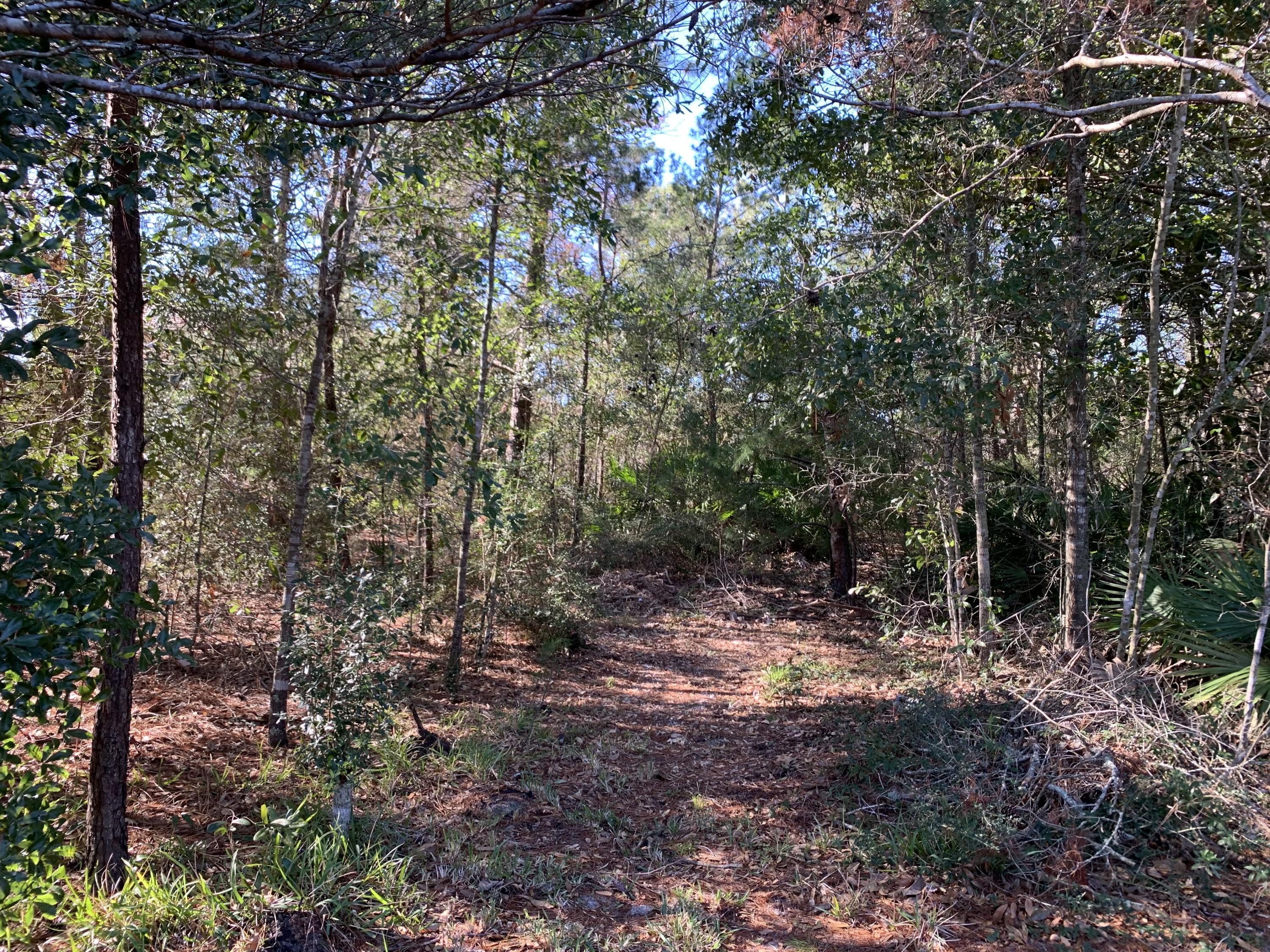 HOLLEY BY THE SEA - Land