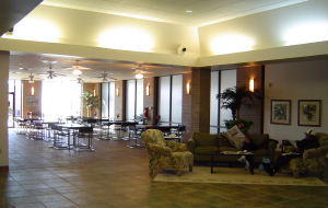 HOLLEY BY THE SEA - Land