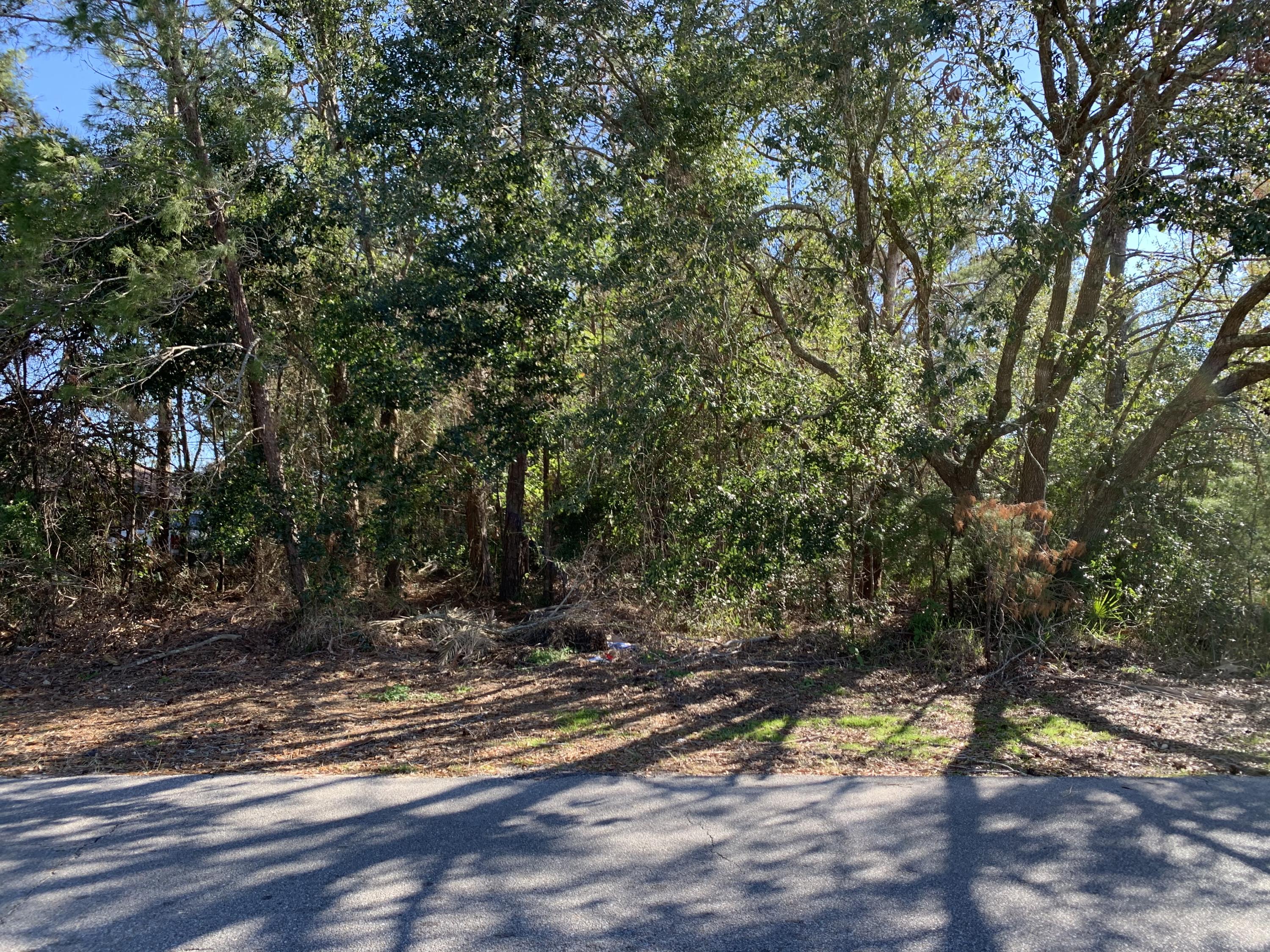 HOLLEY BY THE SEA - Land