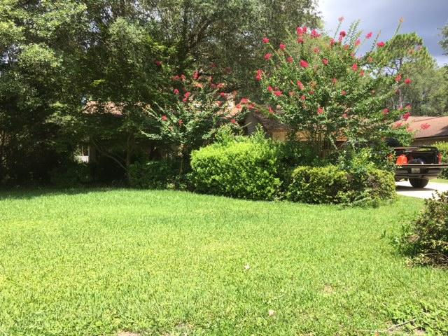 Nice Home, needs some work, great location.