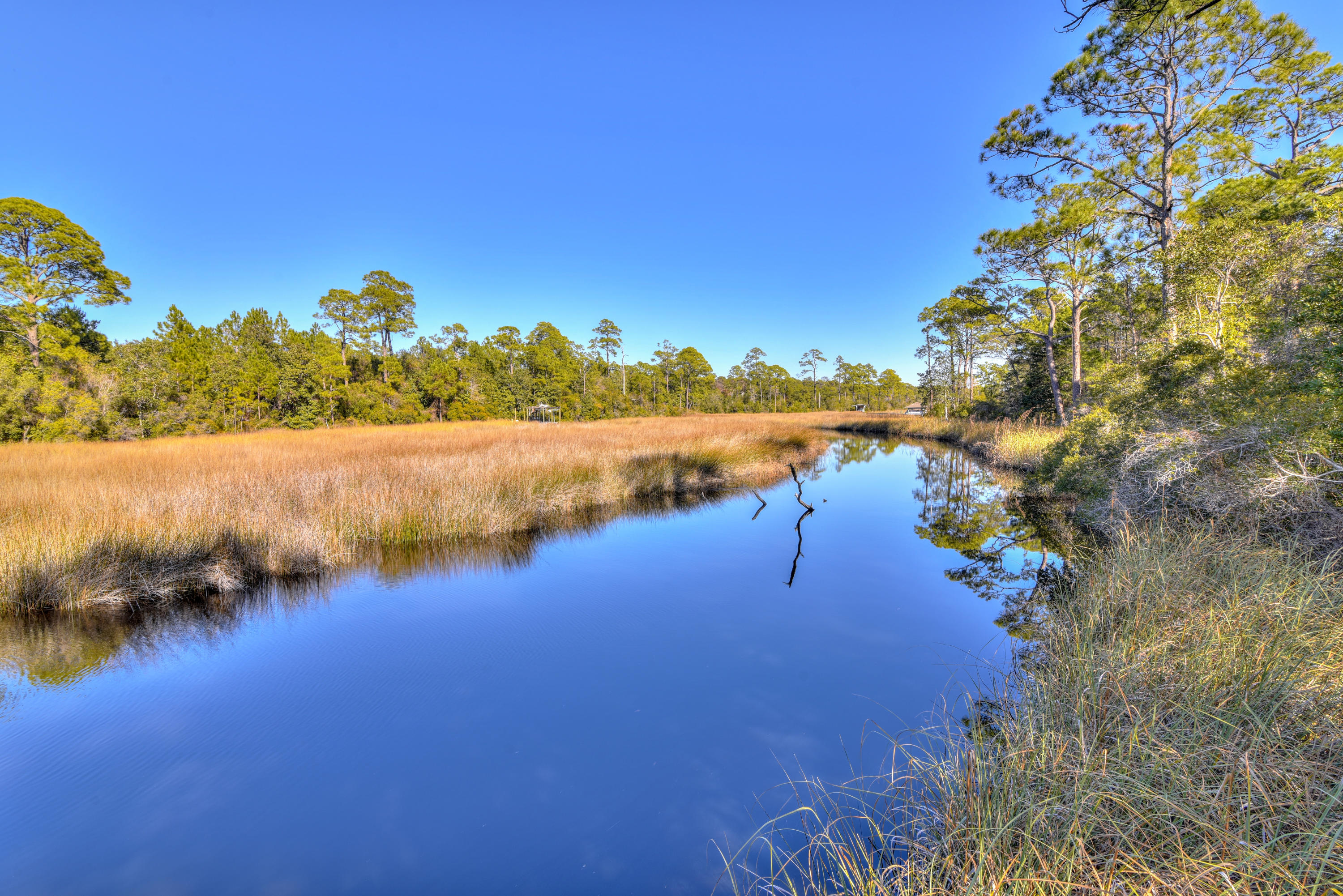 THE PRESERVE AT INLET BEACH - Residential