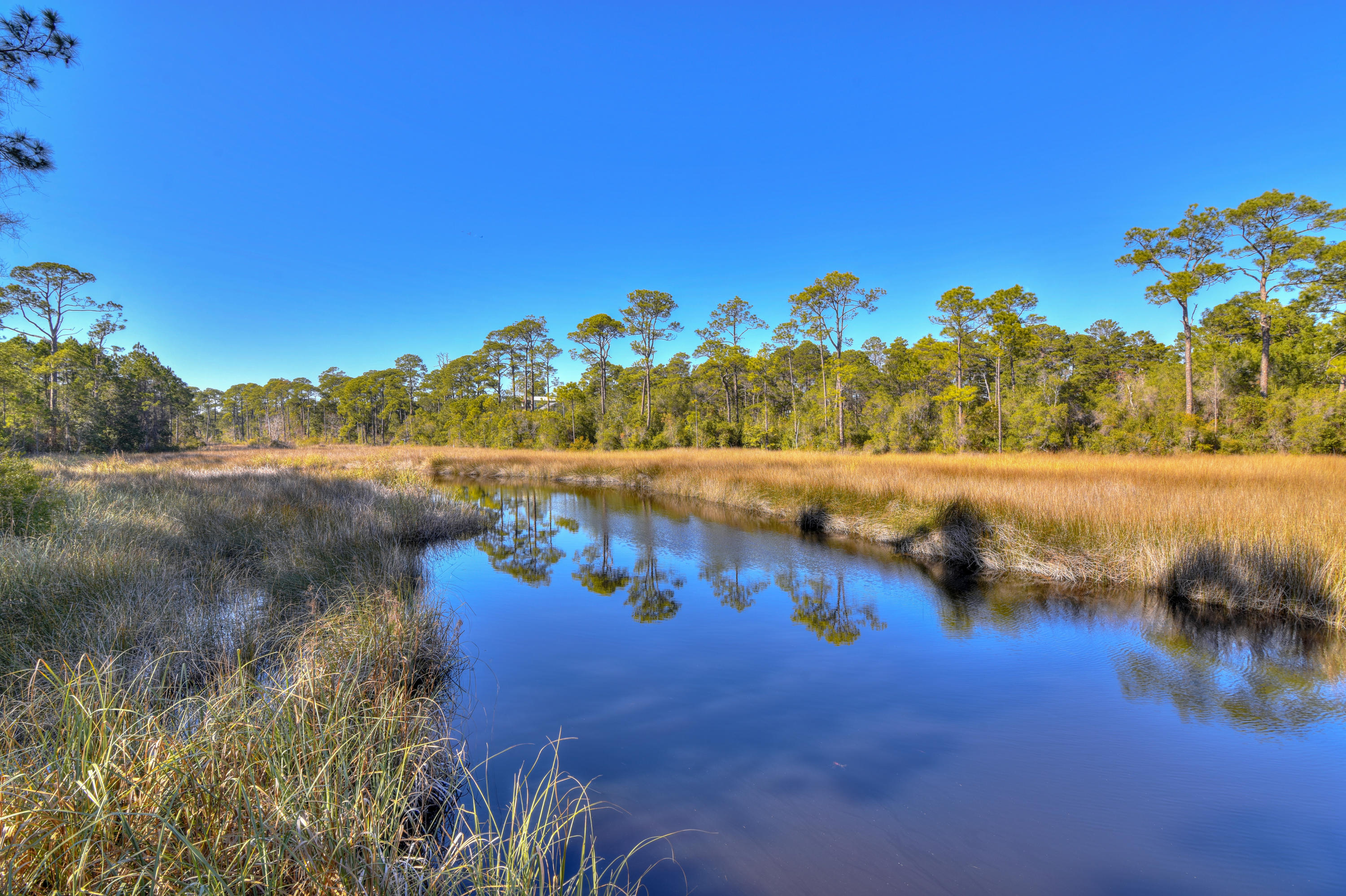 THE PRESERVE AT INLET BEACH - Residential
