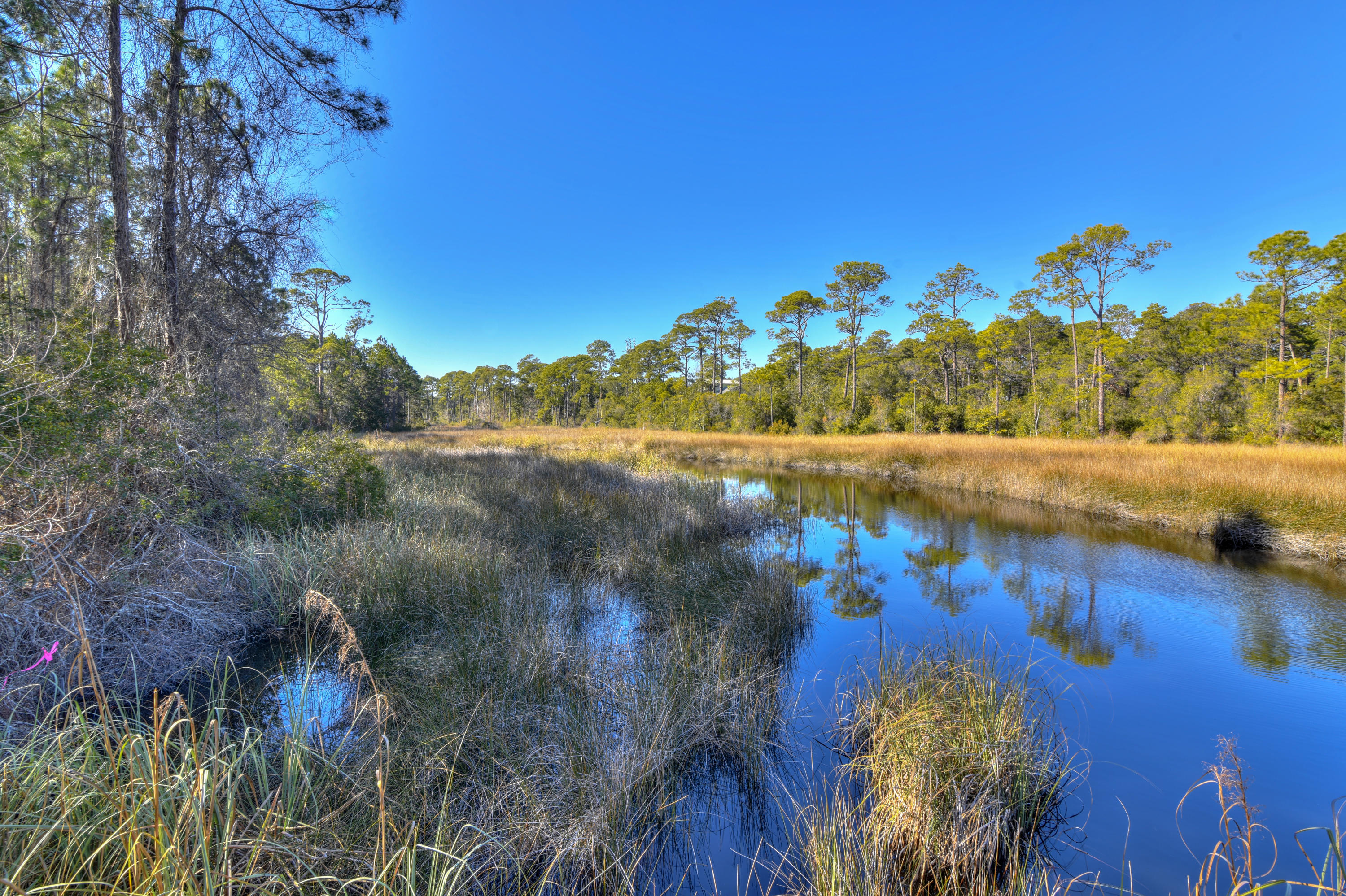 THE PRESERVE AT INLET BEACH - Residential