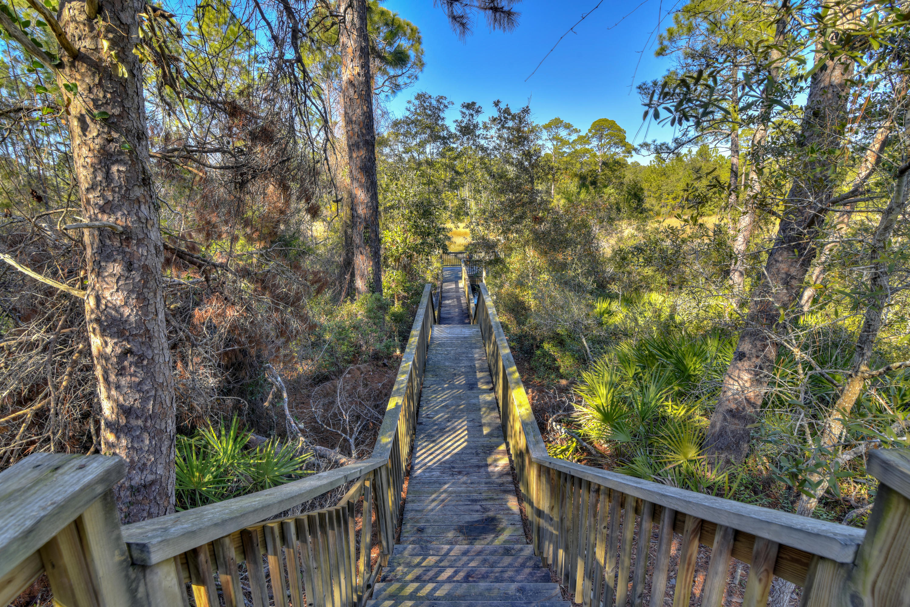 THE PRESERVE AT INLET BEACH - Residential