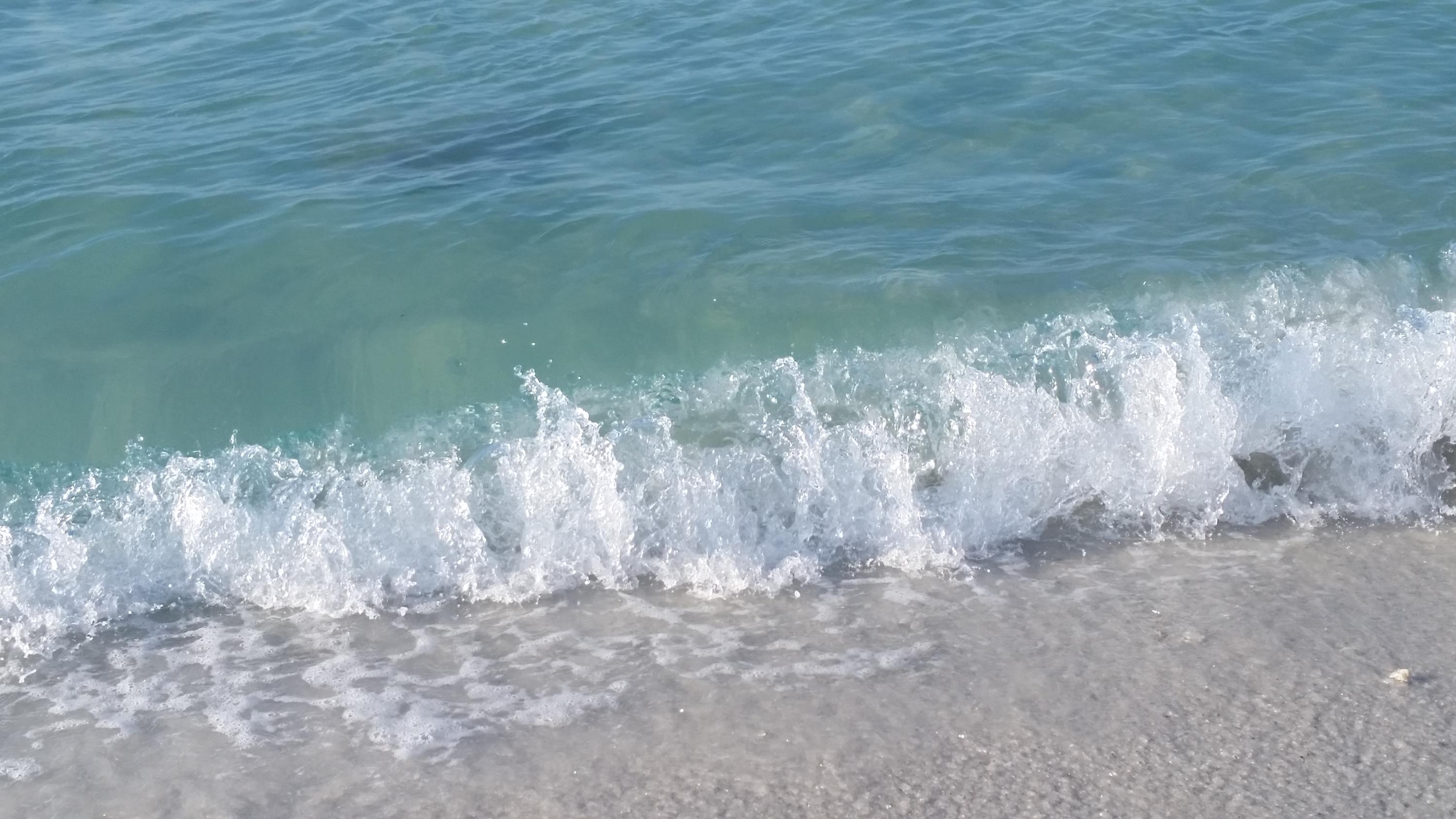 AUDUBON POINTE - Residential