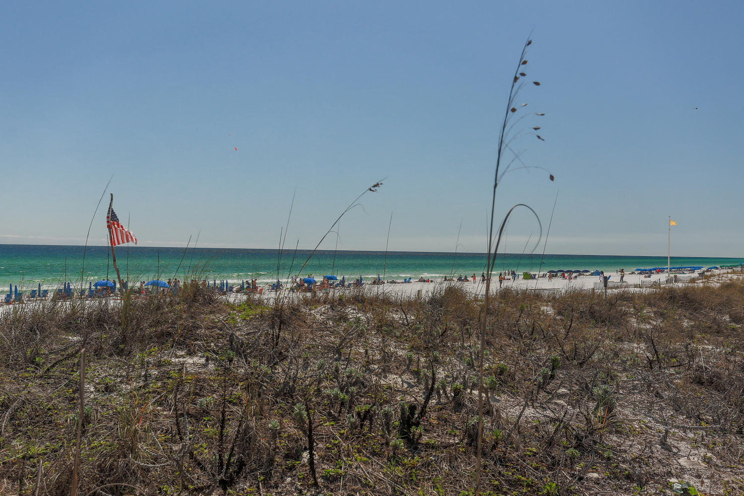 ISLAND PRINCESS - Residential