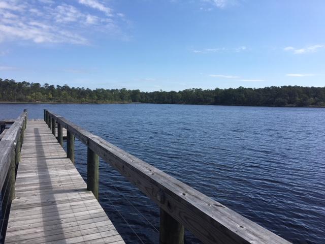 GRANDE POINTE AT INLET BEACH - Land