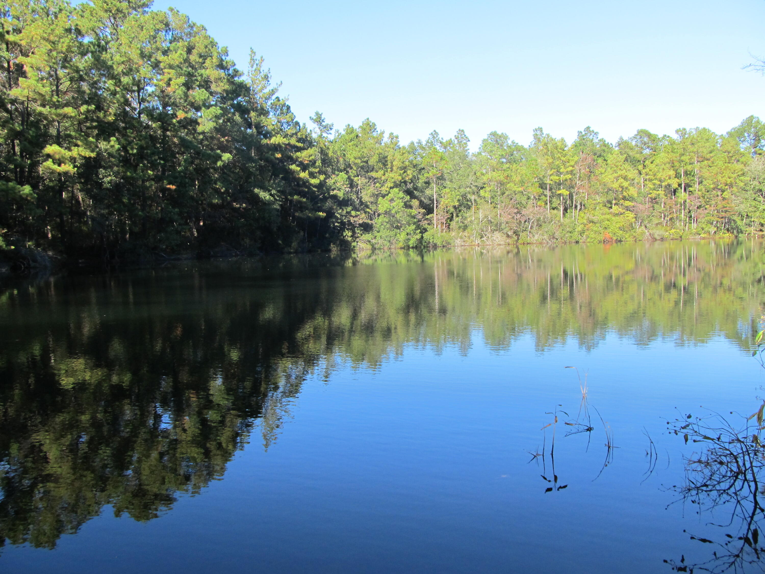 Looking for acreage with a pond? This 11 acres features a 3 acre stocked pond in Ponce de Leon, FL. Property adjoins the Ponce de Leon Springs State Park and Sandy Creek flows through on the southeast corner. There is plenty of high and dry area close to pond that would make a great homesite or a recreational getaway. Large oak trees make a beautiful canopy for the perfect spot to enjoy fishing or hunting. Survey available. Call today to set up your showing.