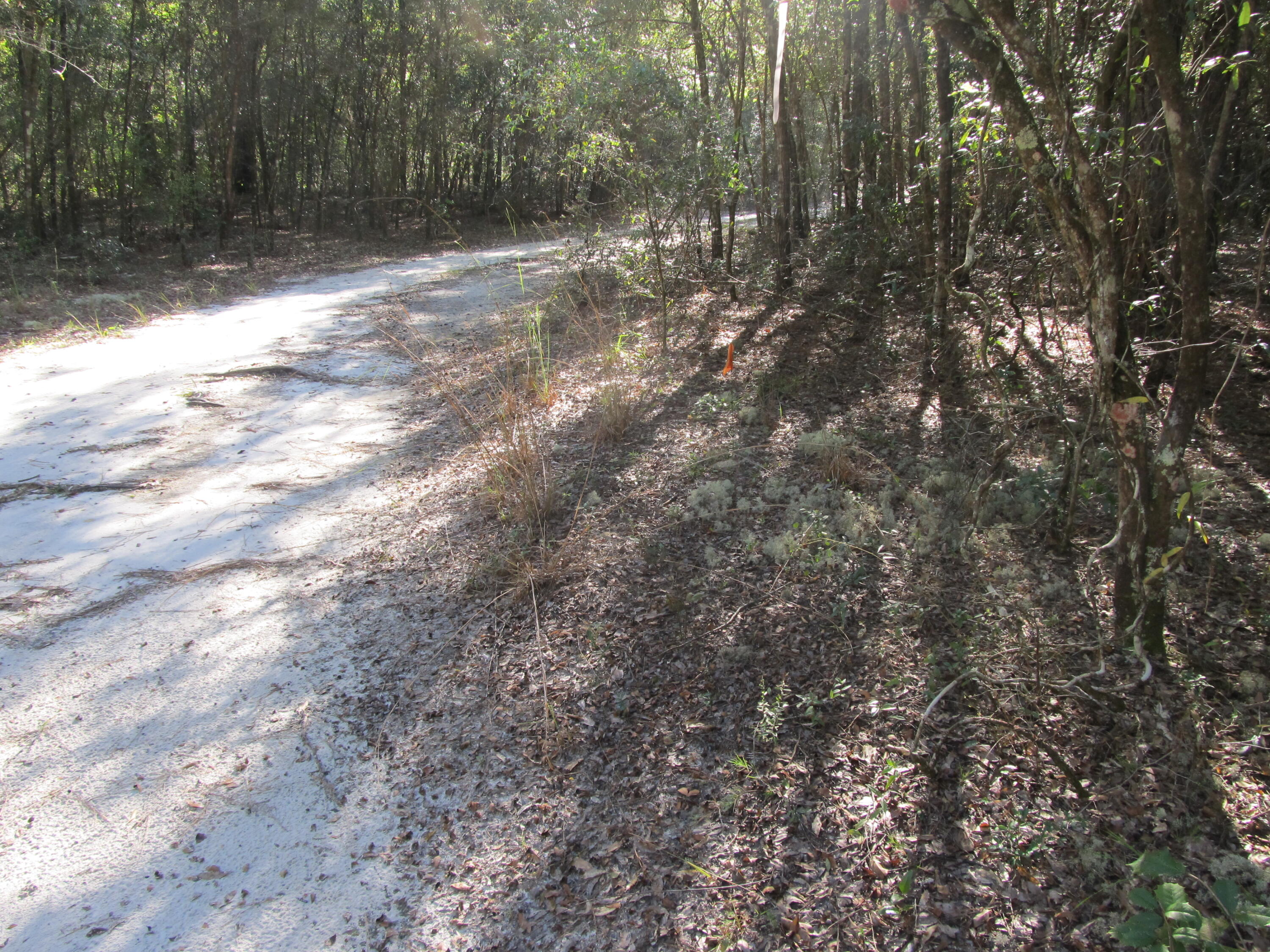 METES & BOUNDS - Land