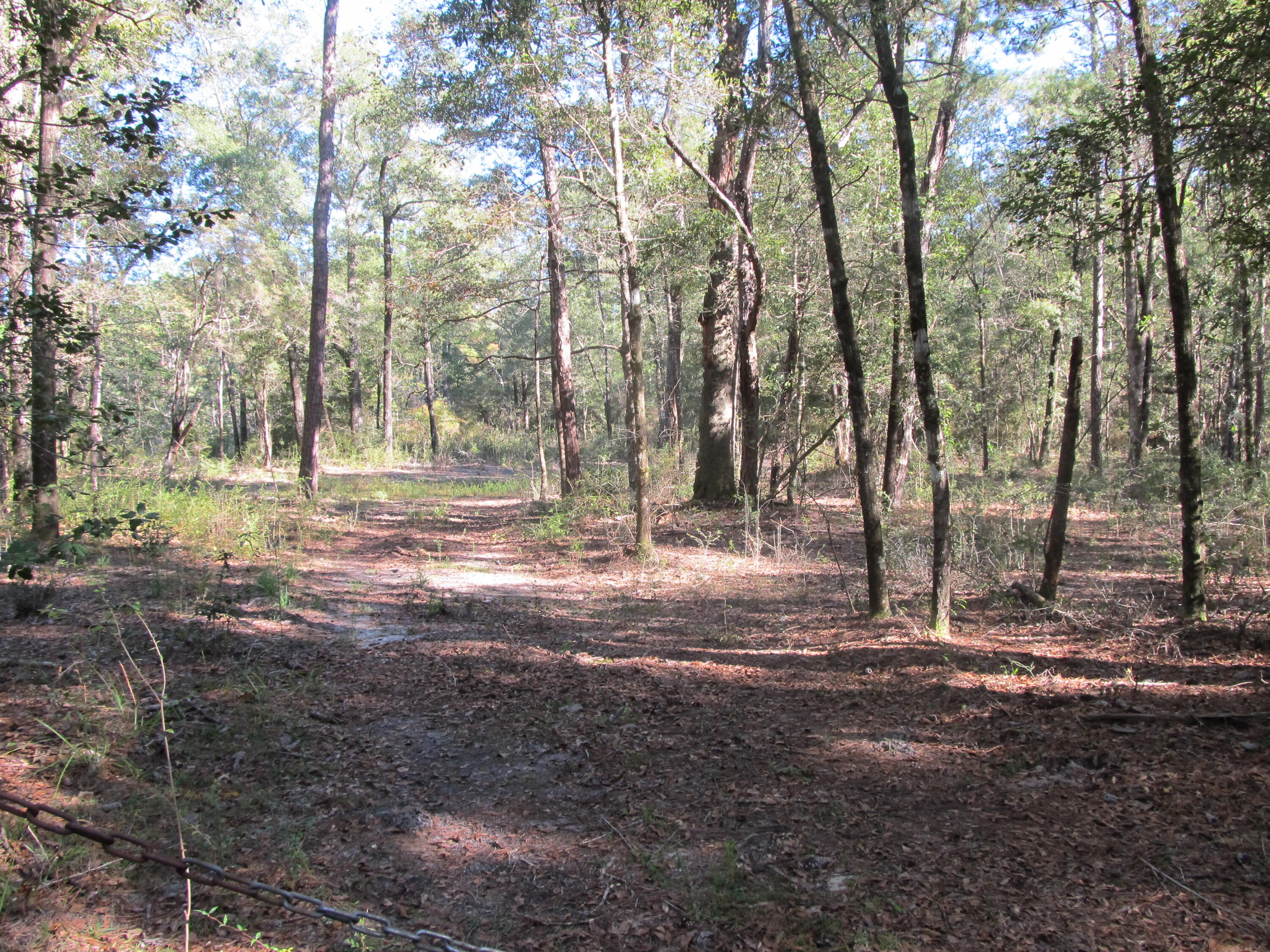 METES & BOUNDS - Land