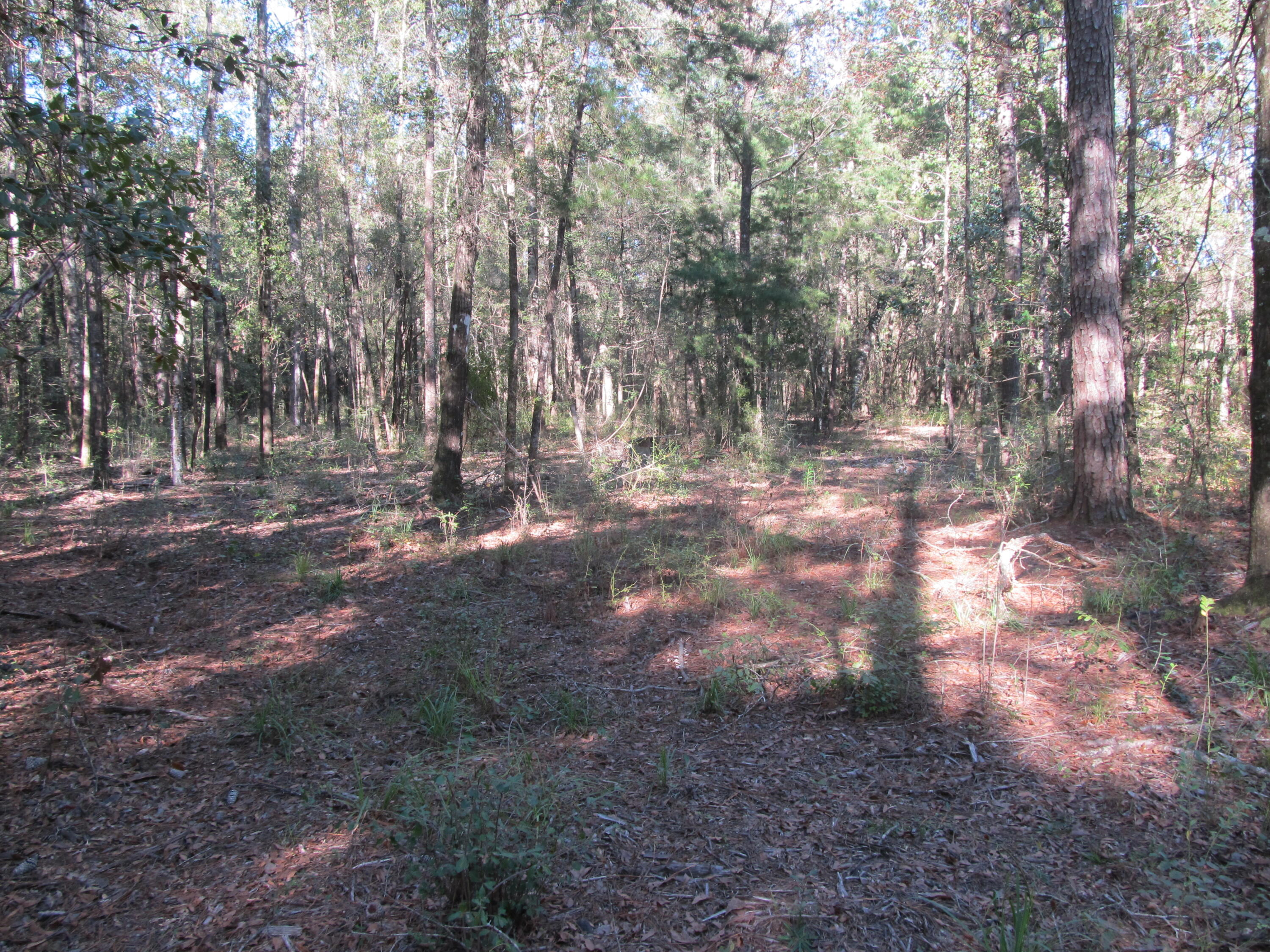 METES & BOUNDS - Land