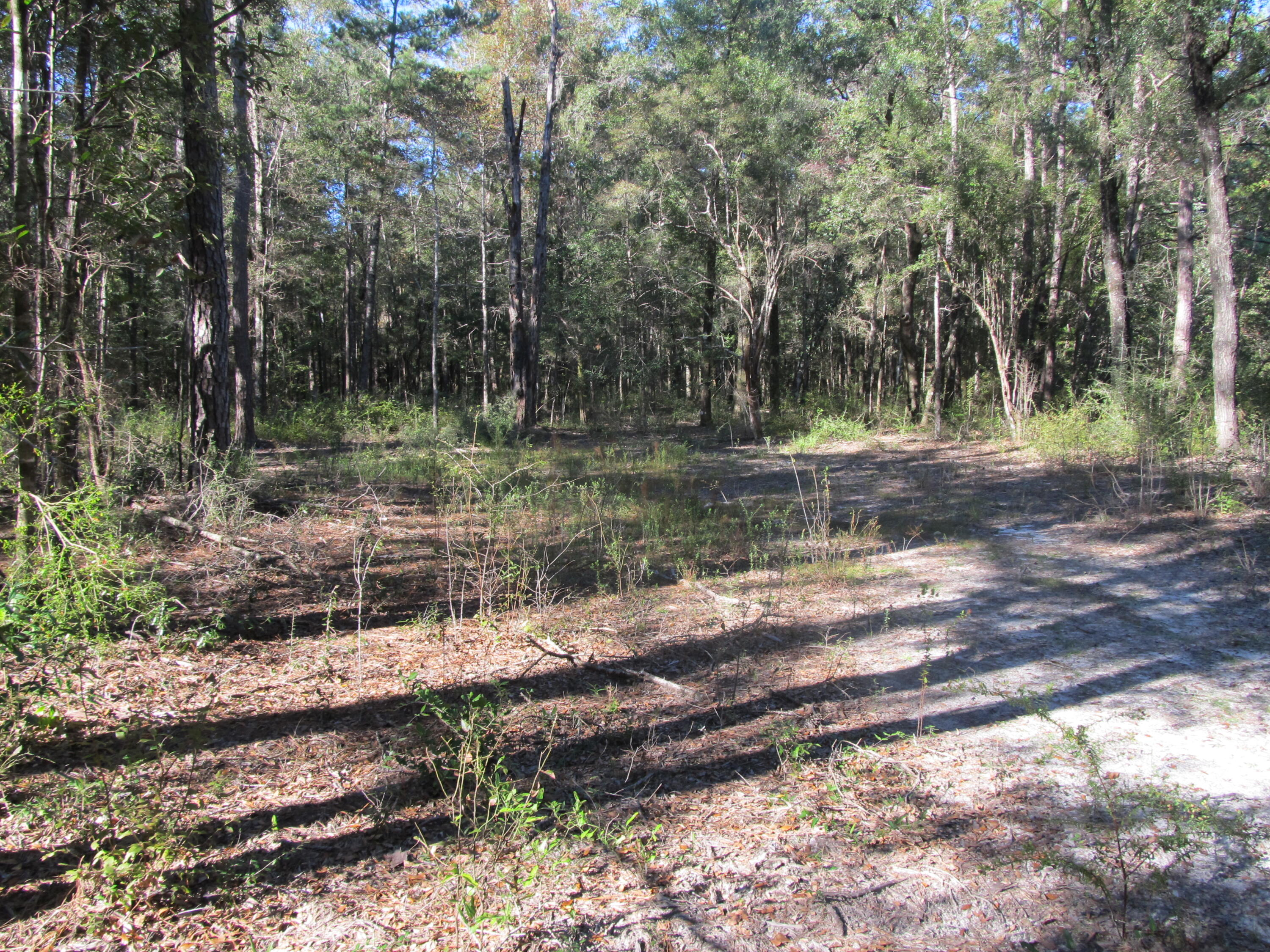 METES & BOUNDS - Land