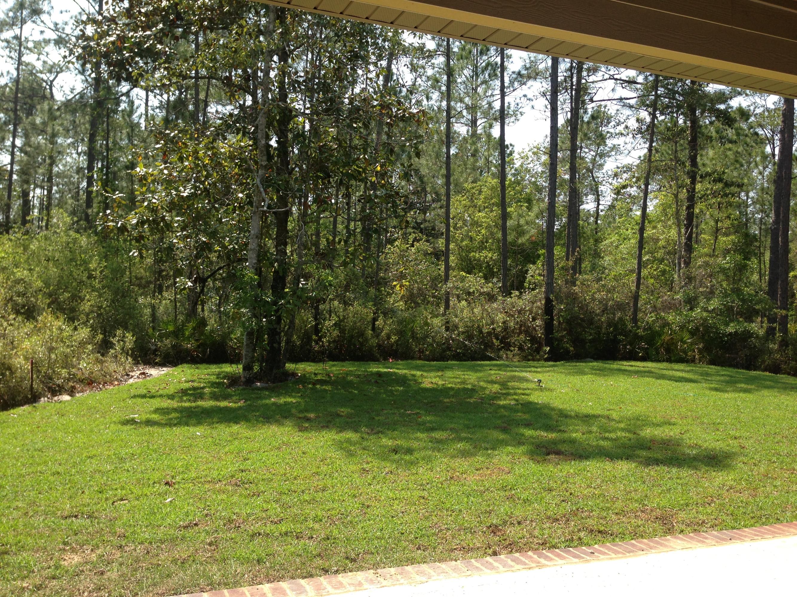 THE WOODS PH2 - Residential