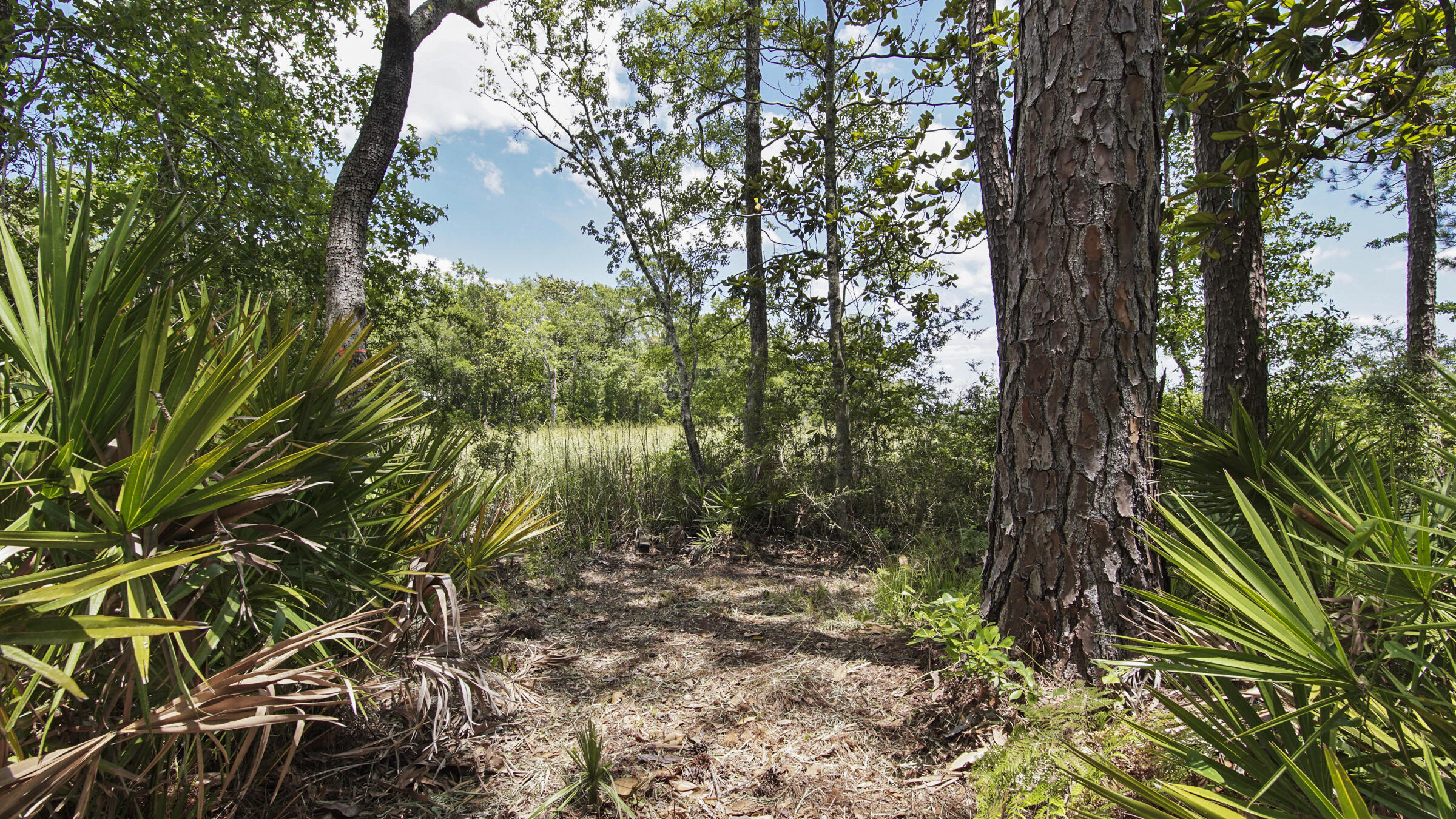 CROSS CREEK SHORES - Residential