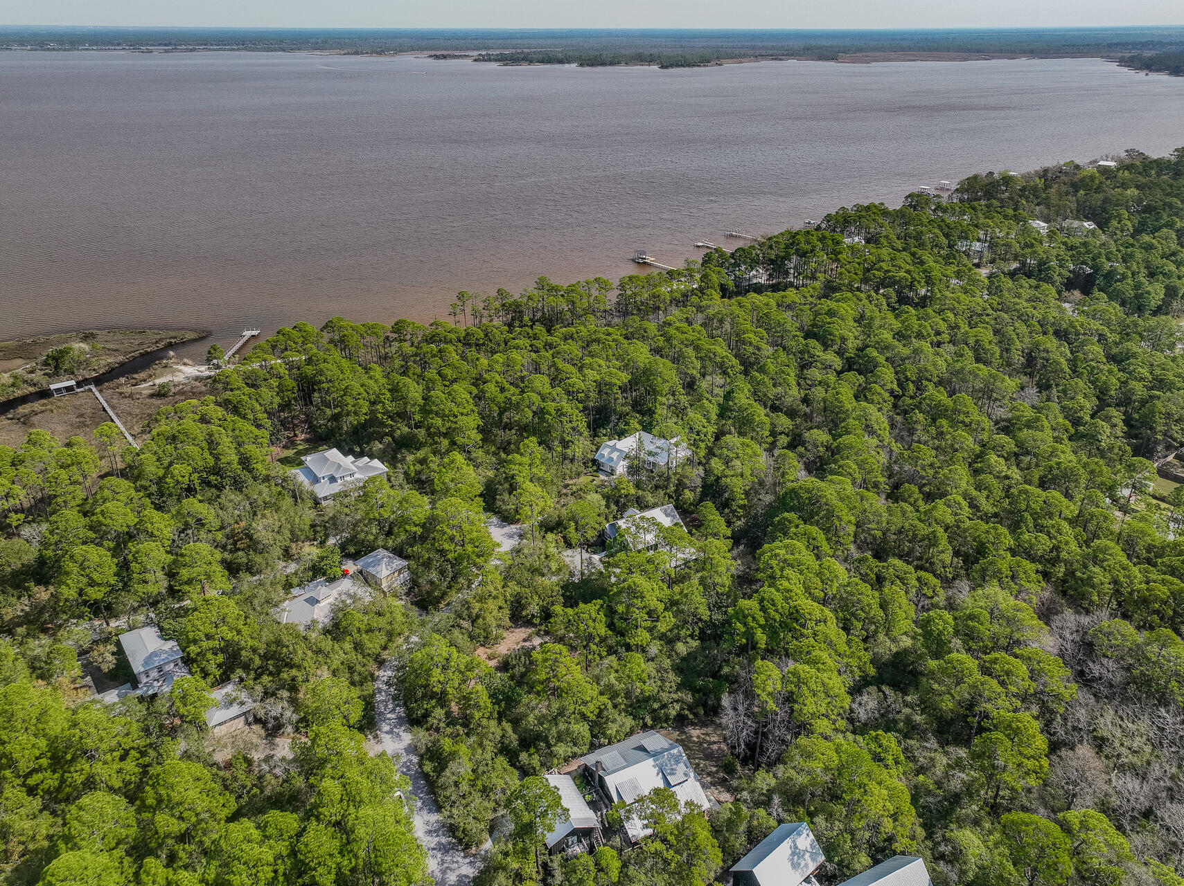 BAY MAGNOLIA - Land