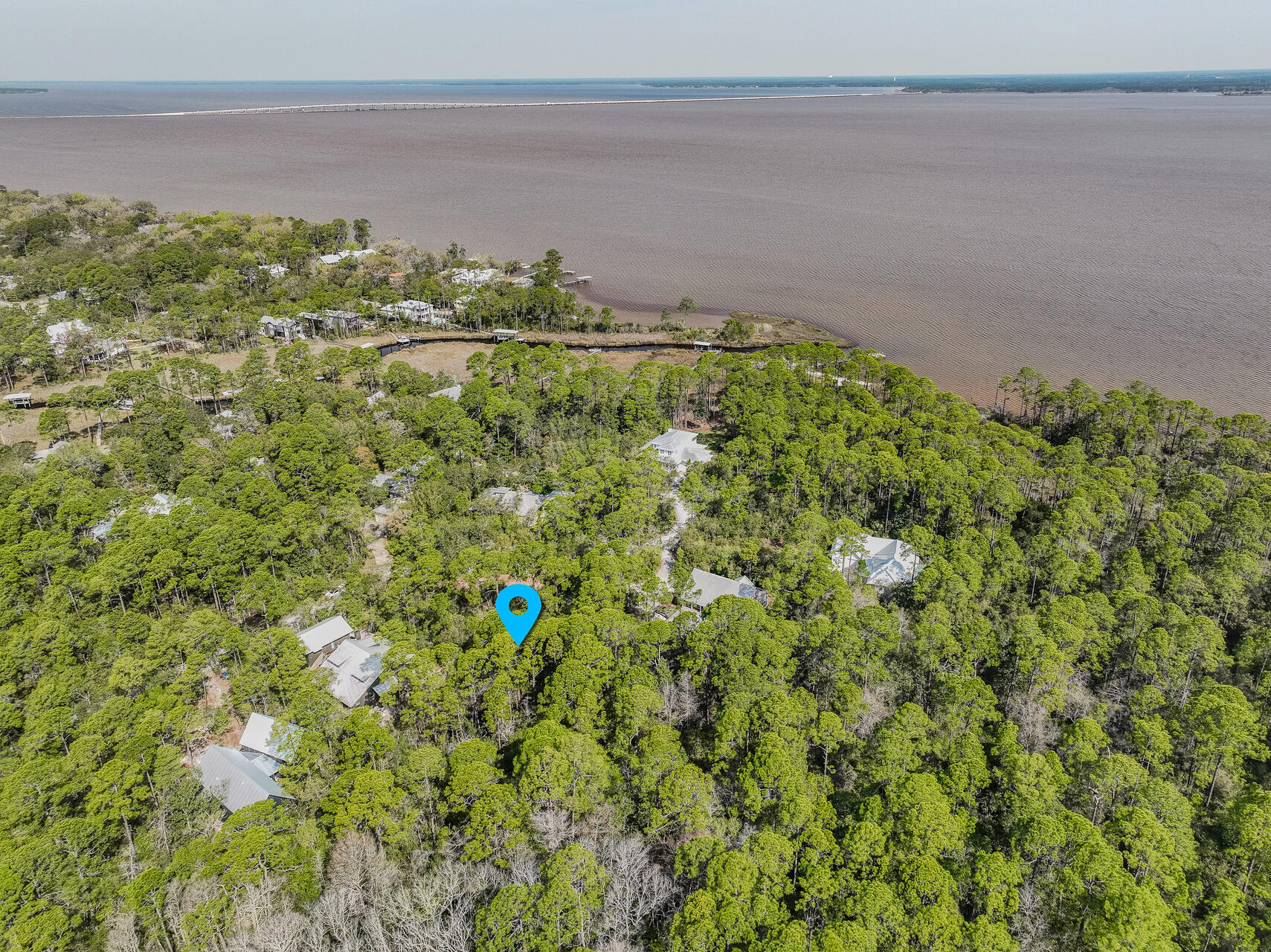 BAY MAGNOLIA - Land