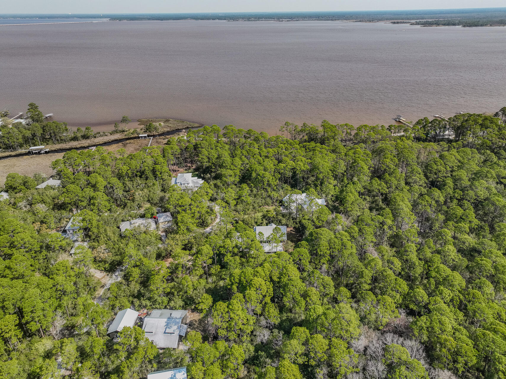 BAY MAGNOLIA - Land