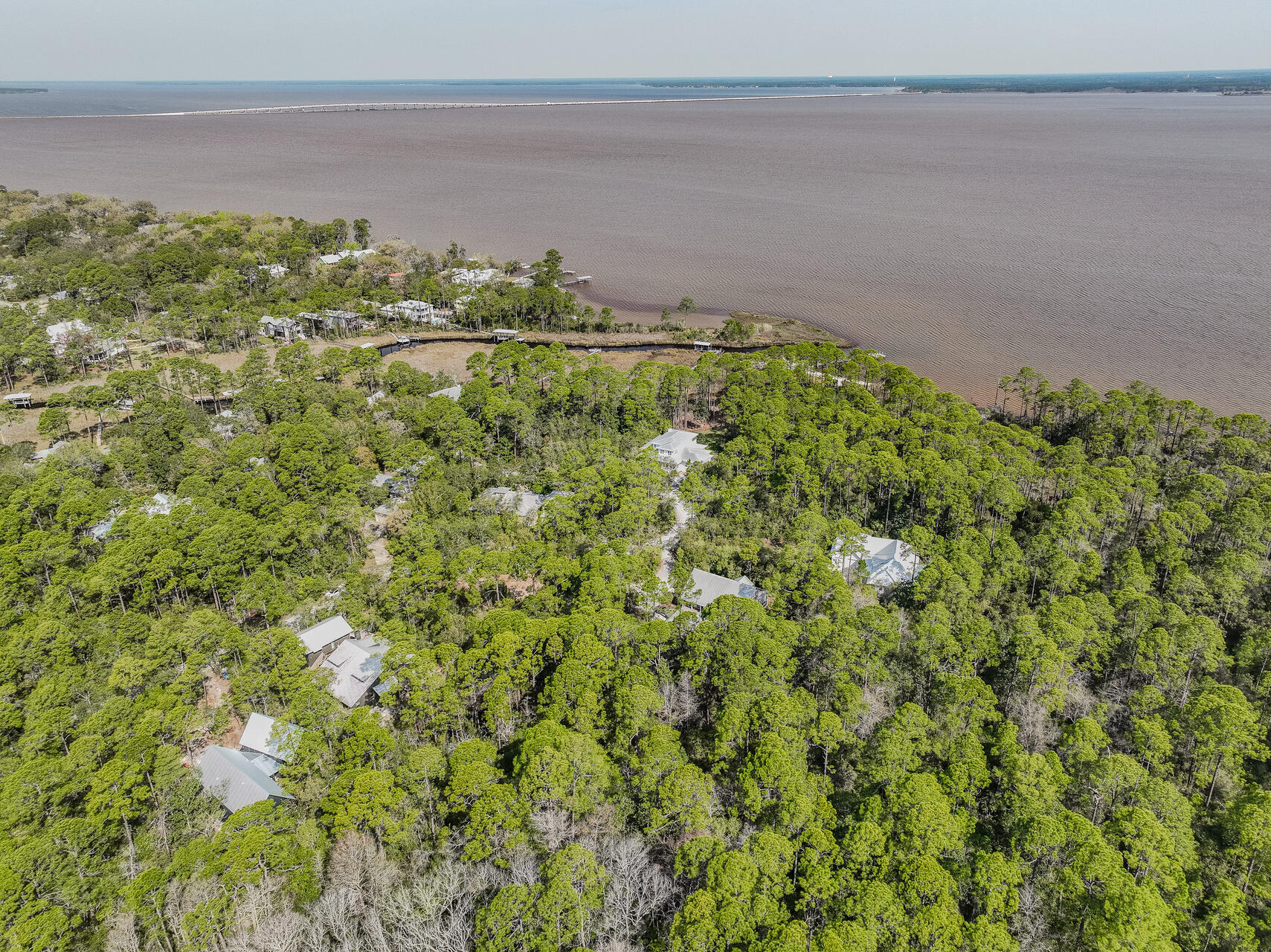 BAY MAGNOLIA - Land