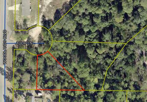 Charming vacant wooded lot on county maintained road that allows you the opportunity to clear it to fit your future dream home. Prime development opportunity! Located in flood zone X.  Great Location with No HOA Fees! Ideal for building your dream home or setting up a mobile home. This vacant lot offers convenient access to major highways such as I-10, 331, and 90. It is located just miles from hardware and grocery stores, schools, downtown, and the captivating historic Defuniak Lake. You'll be thrilled to discover the abundance of outdoor activities nearby, including fishing, golfing, national parks, and the beautiful beaches of the Emerald Coast. There are NO utilities in place. POWER: Available in the area. WATER: It would be public water. SEWER: It would be Septic.