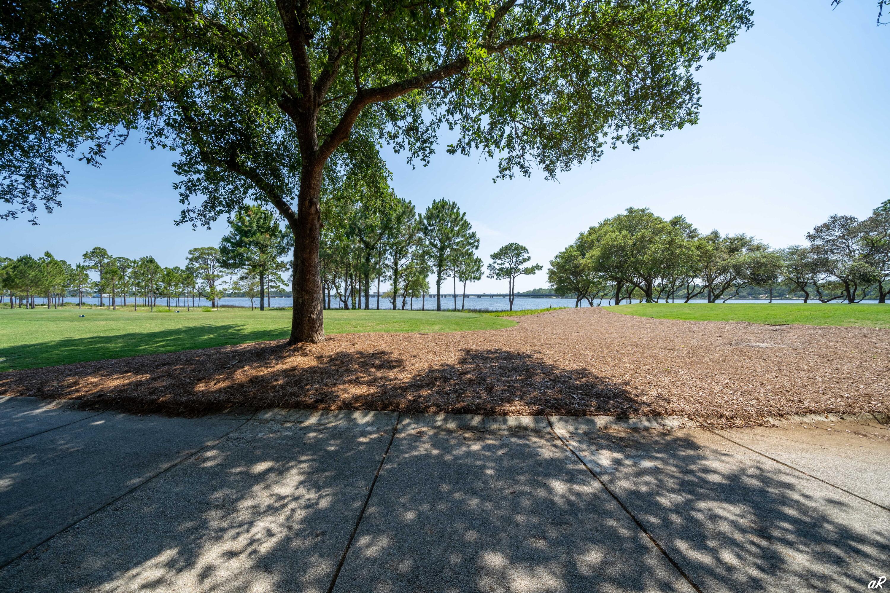 Wild Heron Phase XII - Land