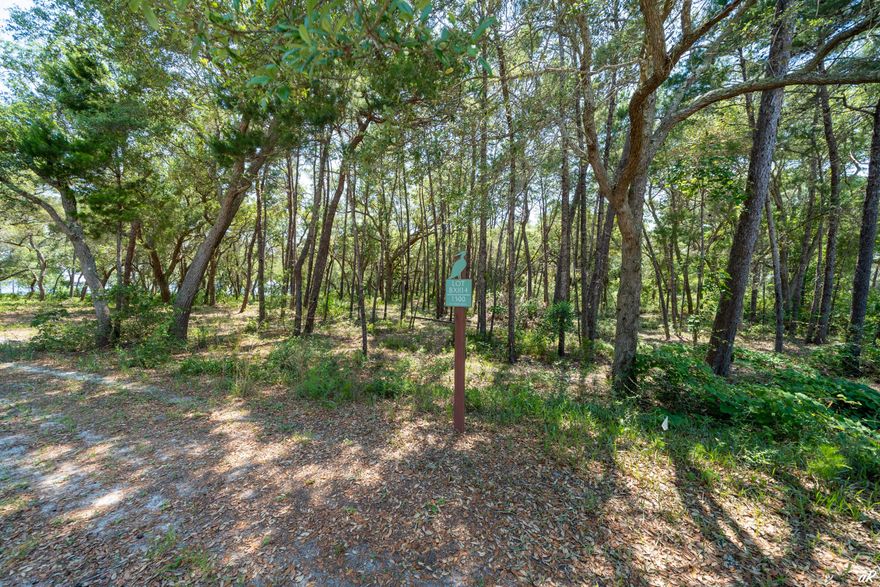 Build your dream home on this 0.52 acres waterview lot at Wild Heron.  A 734-acre Coastal Sanctuary, that is located on the shores of Lake Powell at Inlet Beach, Florida. Lake Powell is the largest Dune lake in Florida.Just minutes from world class shopping, dining and of course the World's Most Beautiful Beaches of Panama City Beach, Rosemary Beach, 30A and the Beaches of South Walton County. This lot comes with pre-approved floor plans by ARB.