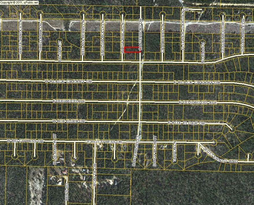 Lot is not clearly marked. Dirt road to property. There are 2 lots under the parcel ID and each lot is sold individually for $2500 each. Can purchase both lots for $5000