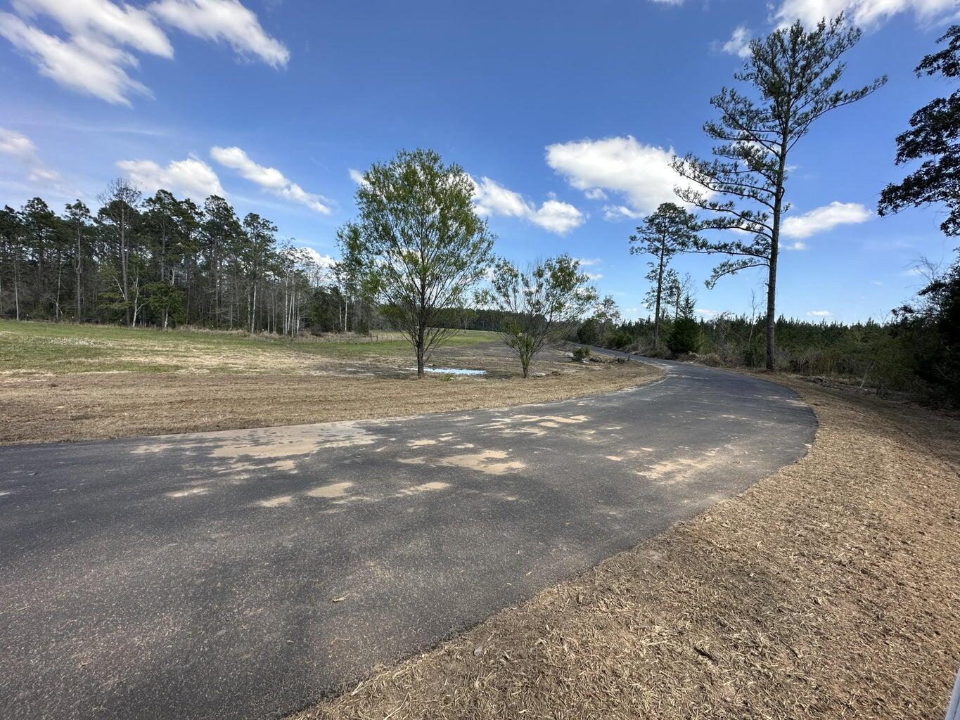 Dream Location for Country Living or Hunters Paradise either way you won't want to miss this opportunity! This Beautiful 143 +/- Acres of prime land has so much to offer, Power is available. Turkey season coming soon! Bring your build plans, hunting gear, Horses and ATVS LOCATION LOCATION!!!! This Property has Easy Access to Panama City Beaches I-10, Hwy 79, Hwy 81, and Hwy 90