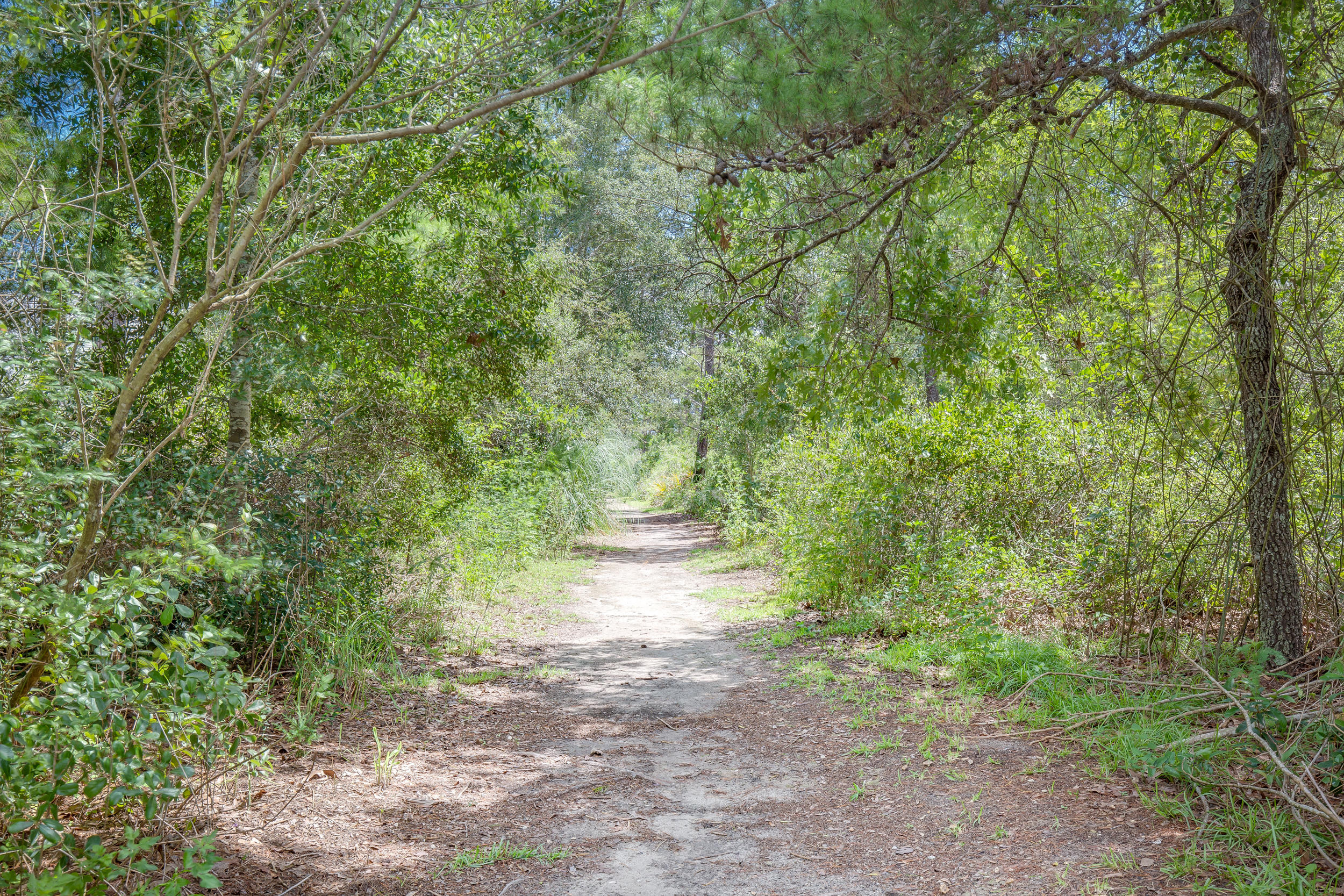 ESCADA - Residential