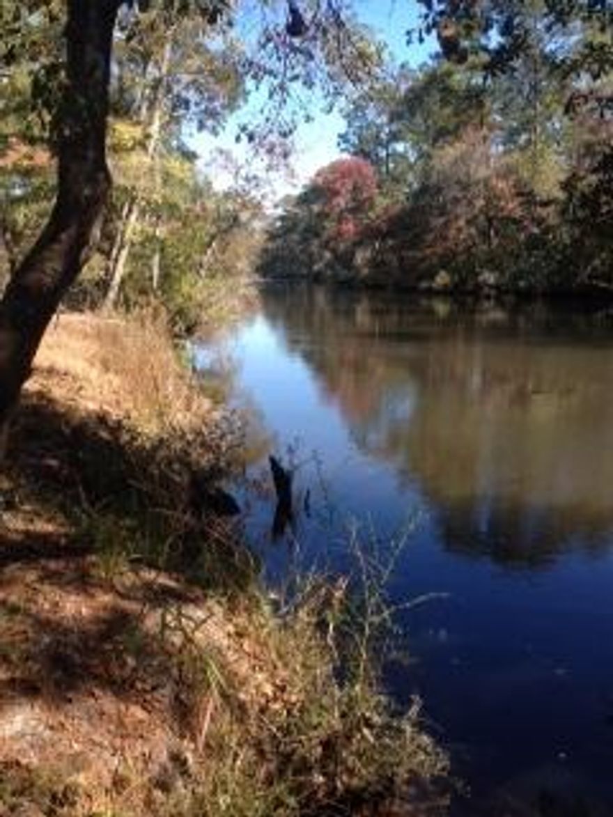 Waterfront lot on Alaqua Creek - Great fishing, bring your fishing pole. Lot has well,septic system and power. Hook up your camper,stay the weekends or never leave!
