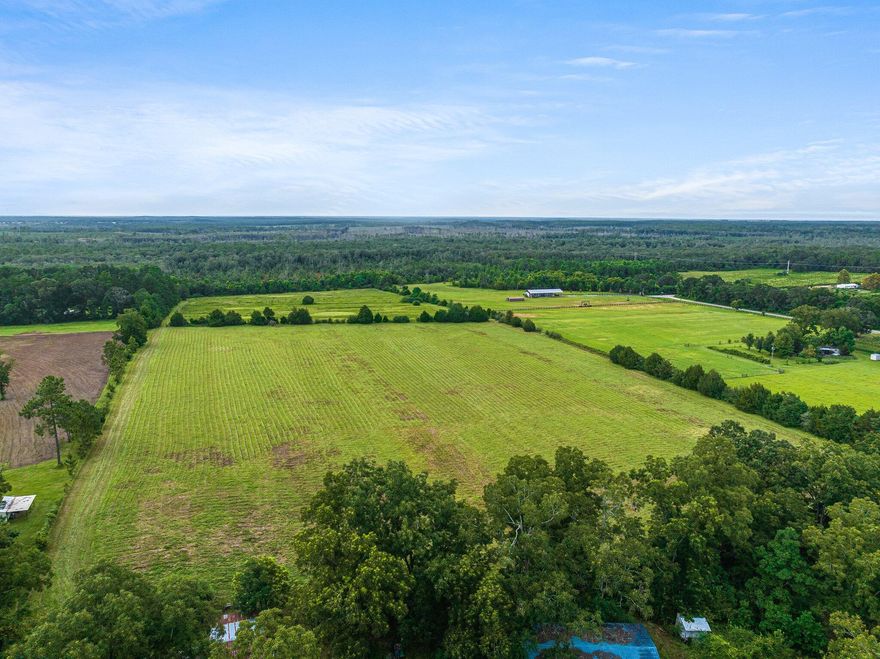 2 parcels totaling 40 acres.  A well for water and electric are already on the property. There's approximately 2 acres at the road front shaded with pecan trees where the barns are located. Remaining property is fenced and cross fenced with a cypress pond with natural springs on the back side of the property.