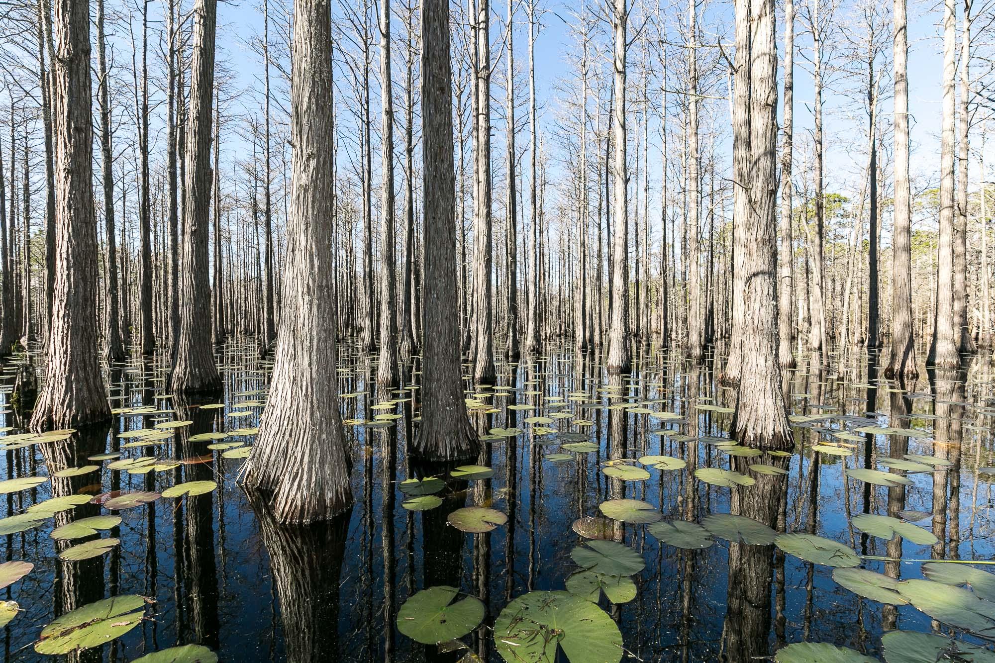 CYPRESS DUNES - Land
