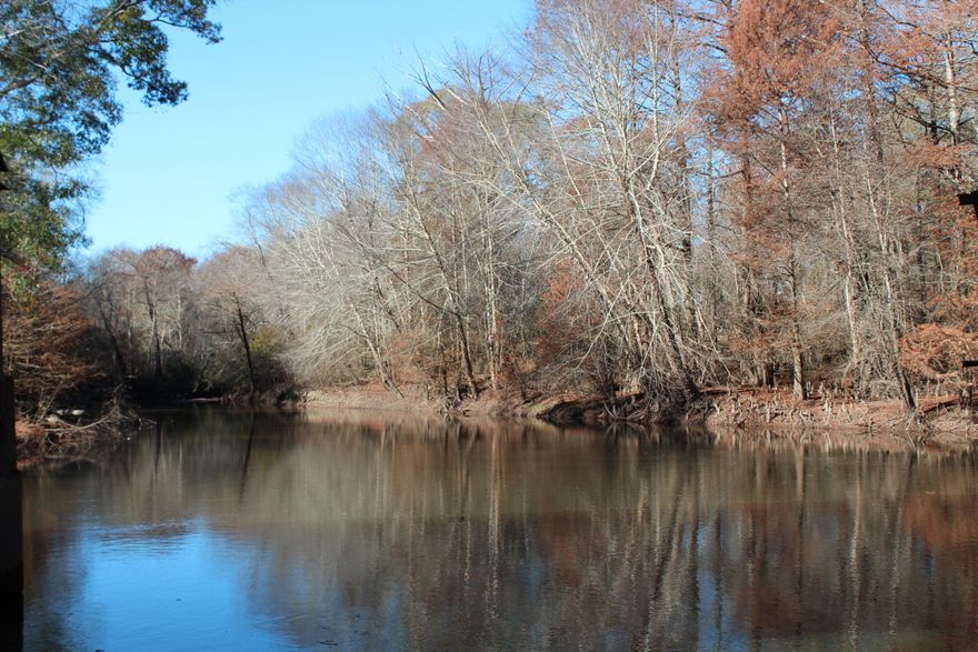 Attention fishermen, hunters & outdoor enthusiasts! This 42 acre parcel has over a half mile of waterfront on historic Flat Creek. There is a well, a couple of silos and two old pole barns of no value on the subject . This part of Alabama is famous for big deer! Flat Creek flows into the Pea River that joins the Choctawhatchee River in Geneva Alabama. From this property you can take a boat all the way to the Choctawhatchee Bay.
