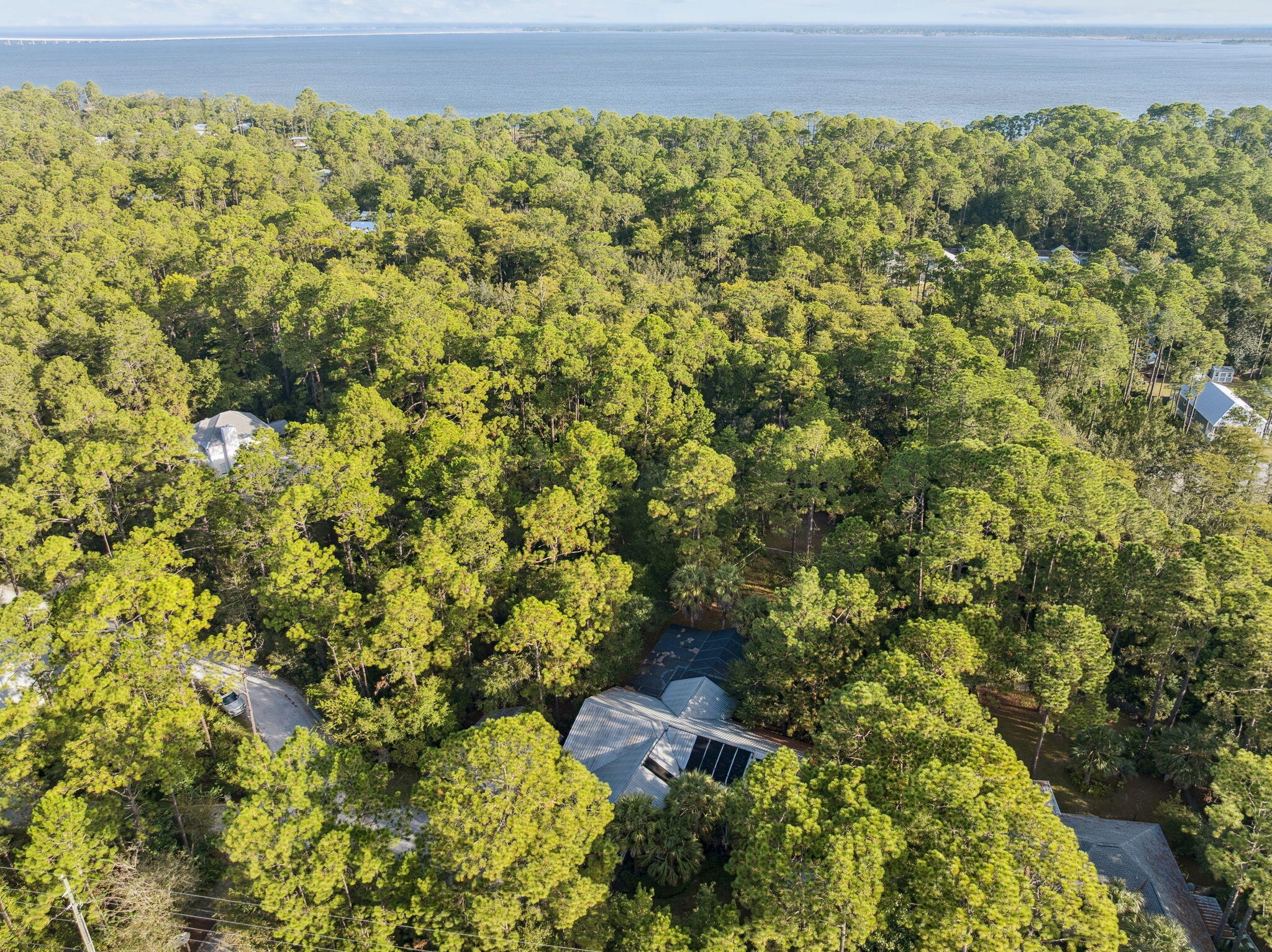 Bay Magnolia - Land