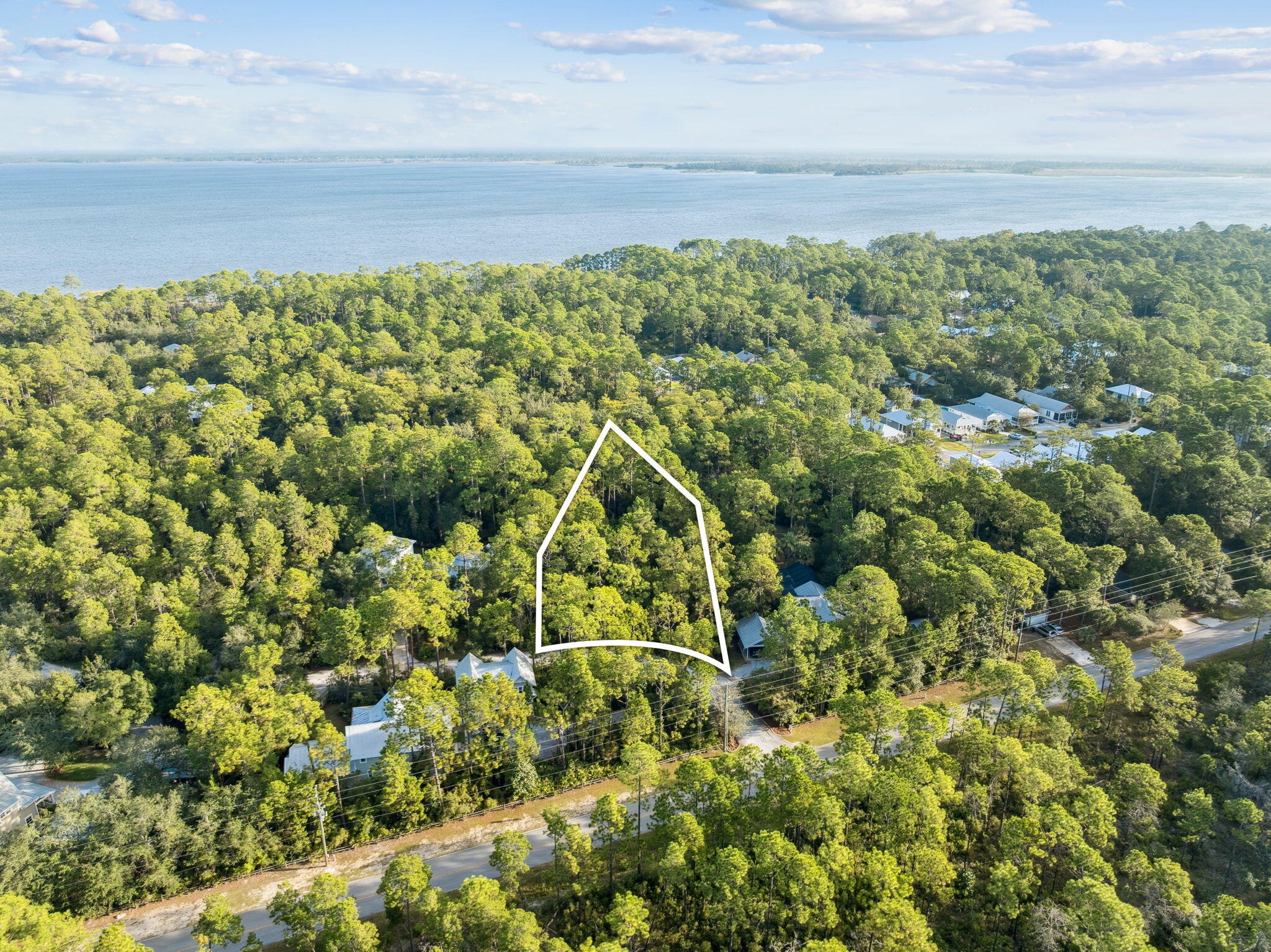Bay Magnolia - Land