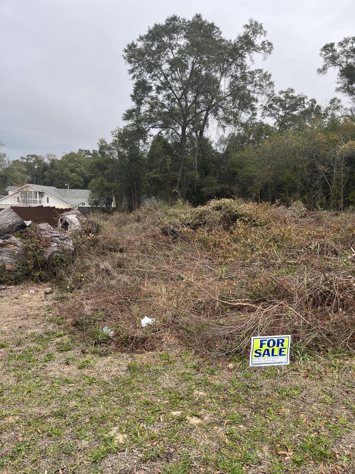 TOWN OF DEFUNIAK SPRINGS - Land