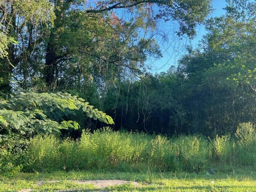 TOWN OF DEFUNIAK SPRINGS - Land