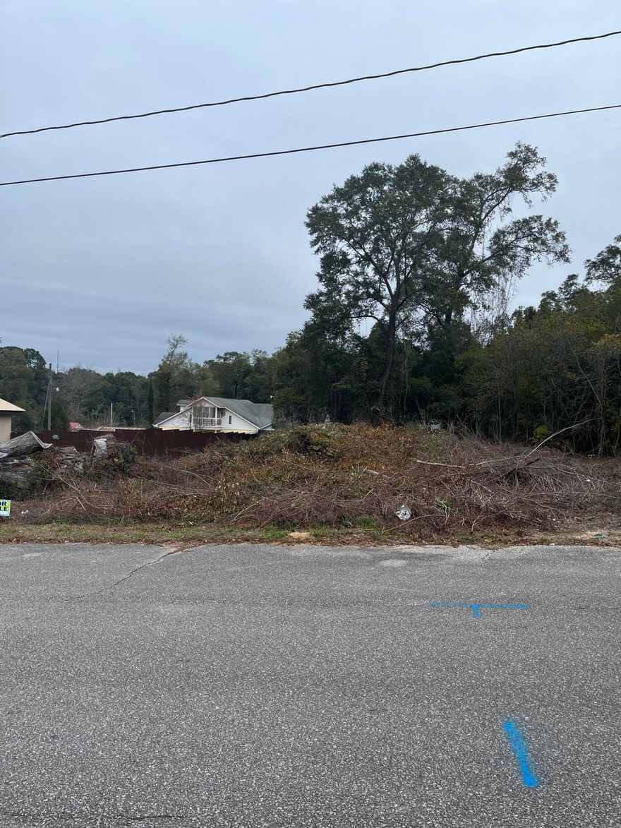 Vacant wooded land on paved road in DeFuniak Springs City limits.  Sign on property.